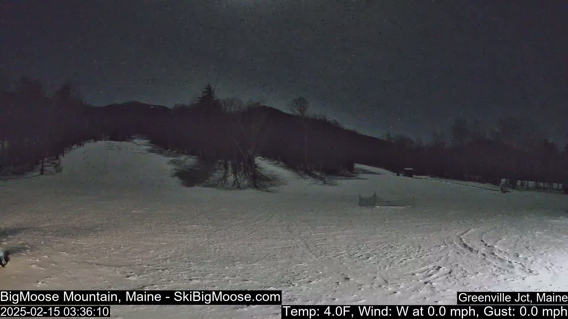 A snow-covered landscape at night under a dark, possibly starry sky, with a treeline visible in the background.