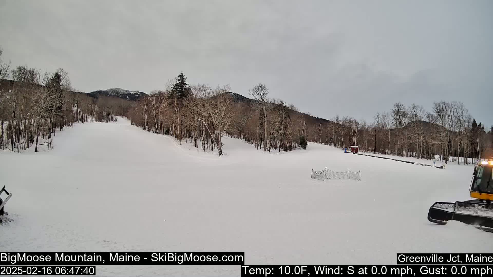 A snow-covered ski slope with bare trees and a mountain in the background under an overcast sky.