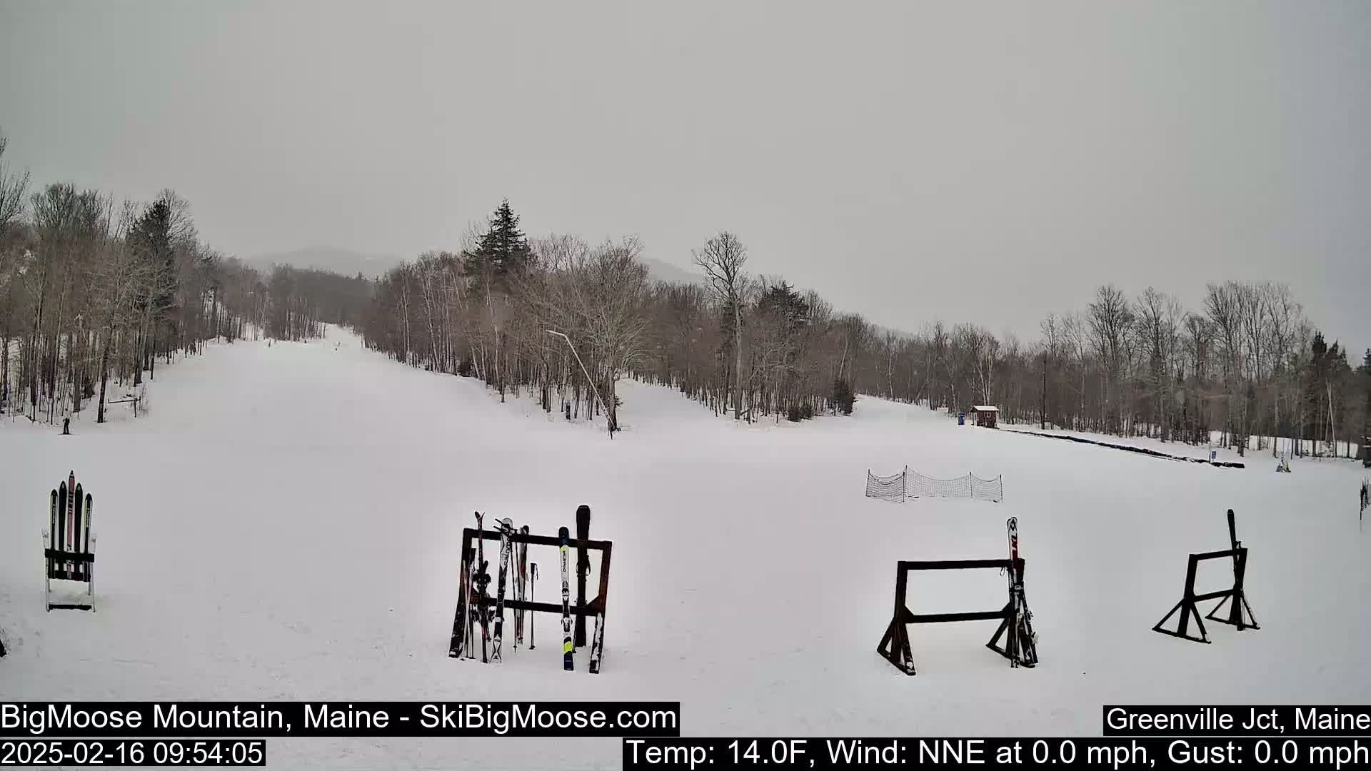 A snow-covered ski slope with several pairs of skis on racks, surrounded by bare trees under an overcast sky.