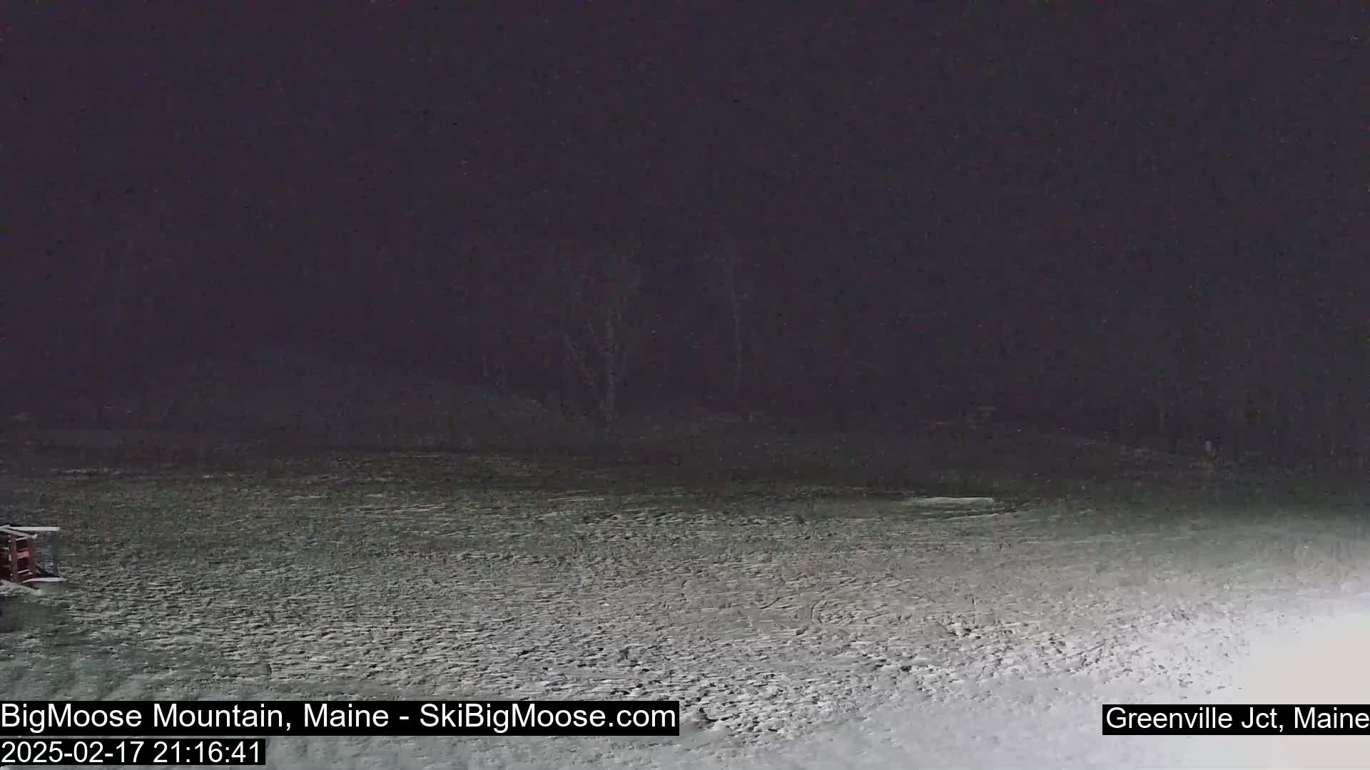 A snow-covered ground stretches out under a dark night sky.