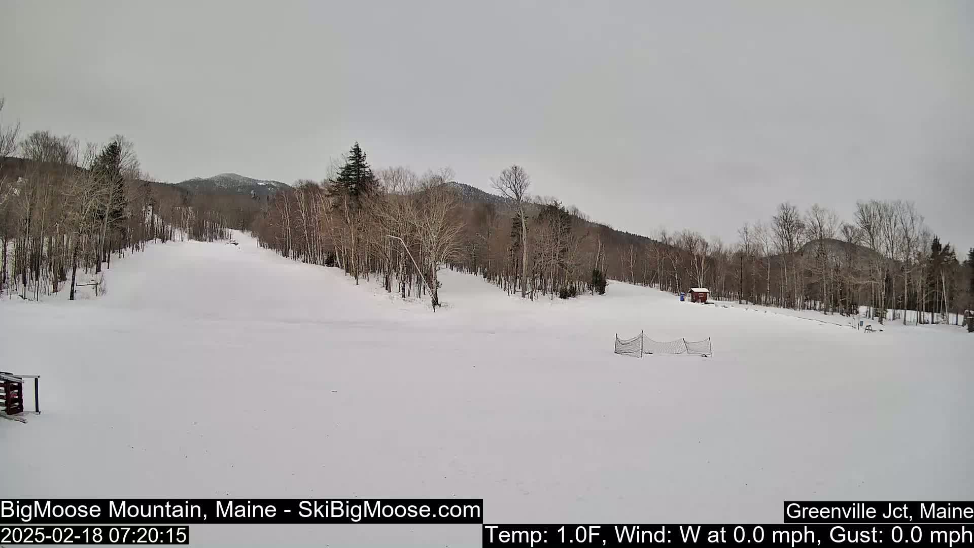 A snow-covered ski slope is visible, with bare deciduous trees and a mountain in the background under an overcast sky.
