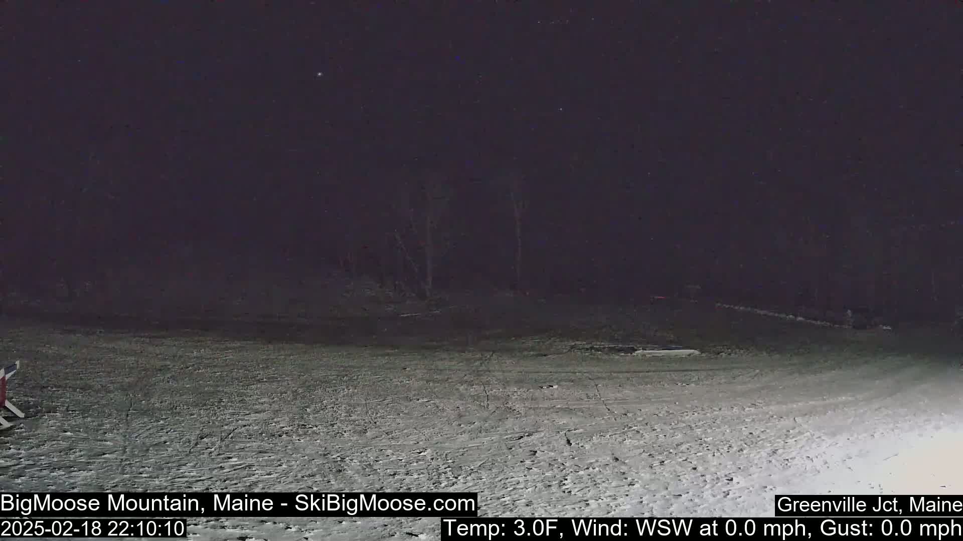 A snow-covered, dark area at night with a few trees in the background under a clear, starry sky.