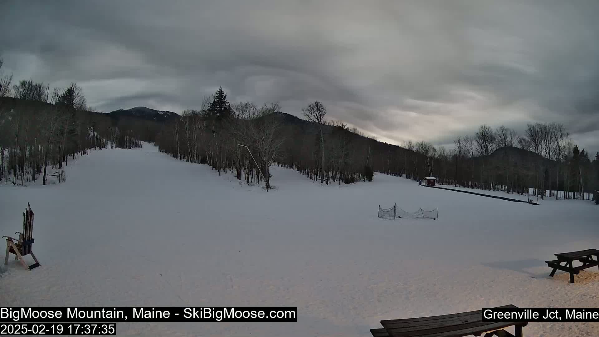A snow-covered ski slope is nestled amongst leafless trees under a cloudy, overcast sky.