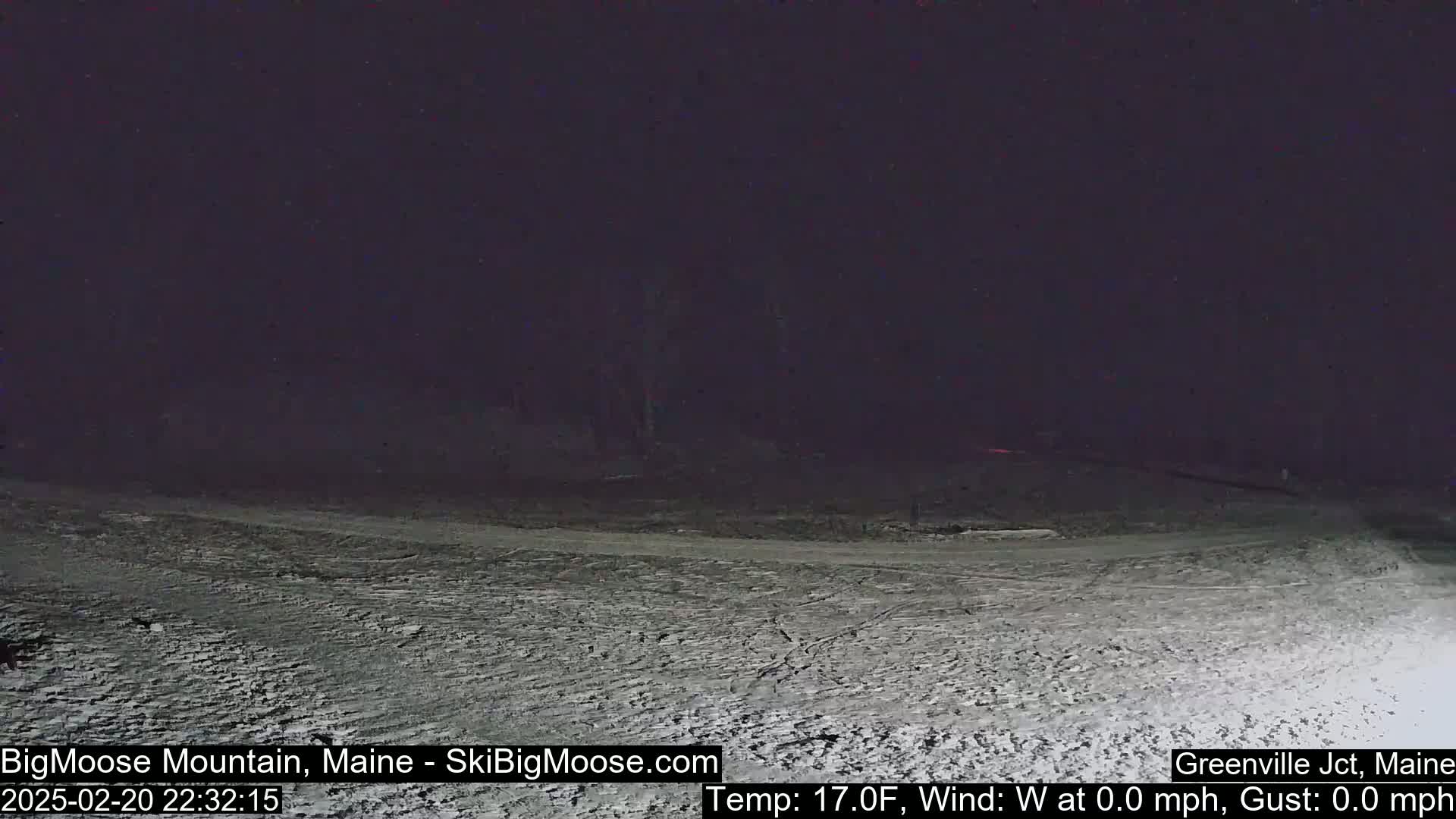 A snow-covered, dark nighttime scene shows a mostly flat expanse of land with some indistinct trees in the background under a clear, dark sky.