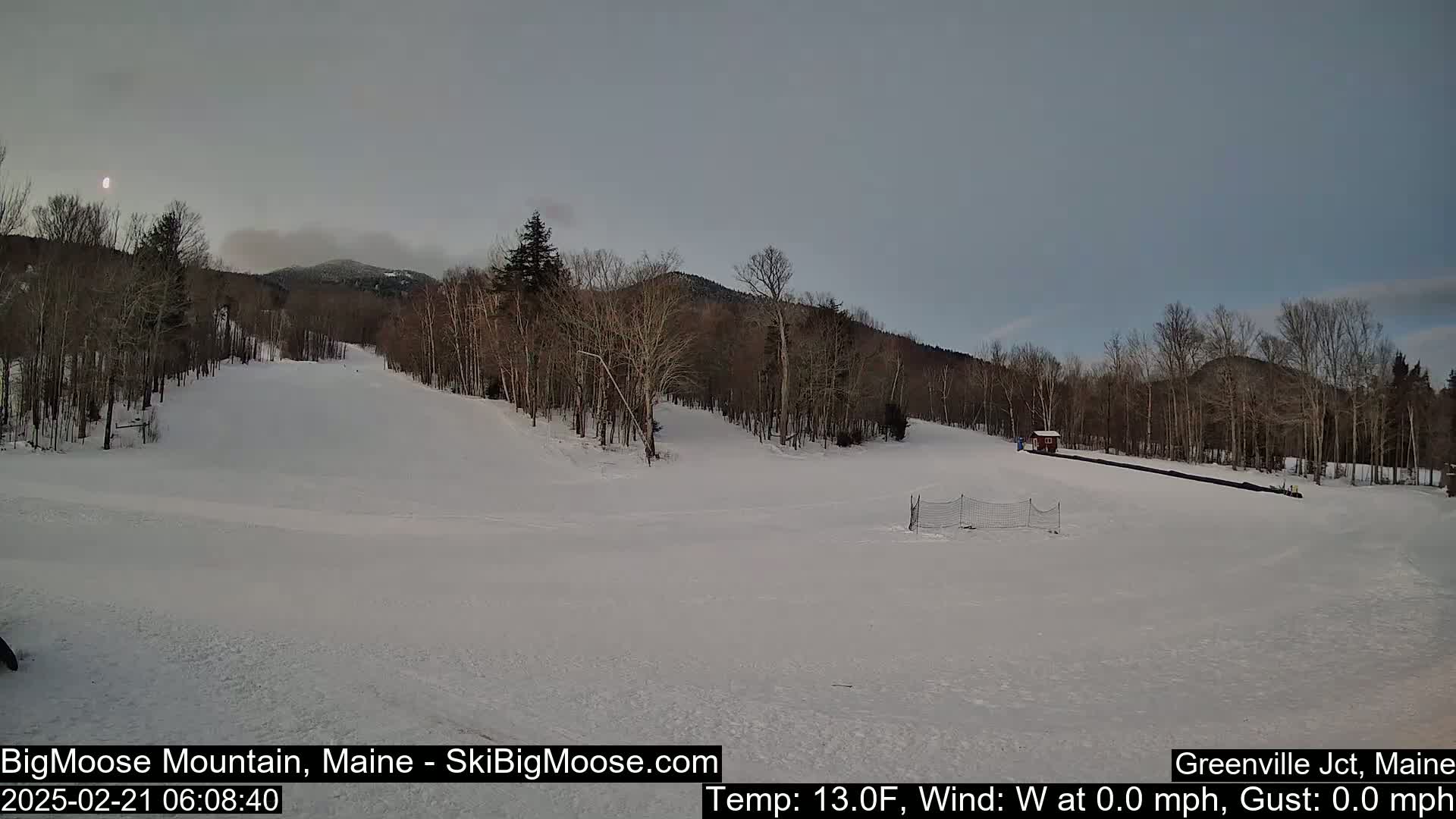 A snow-covered ski slope is visible under a pale, overcast sky, with bare trees lining the hills in the background.