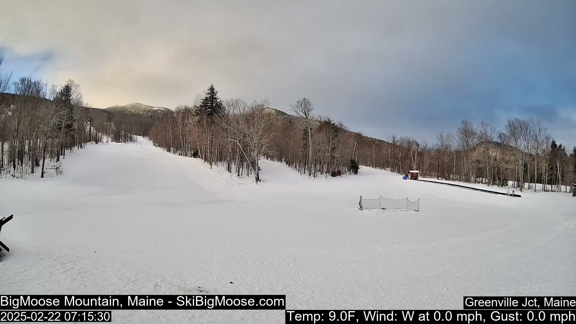 A snow-covered ski slope is visible, with leafless trees lining the sides and a mountain in the background under an overcast sky.