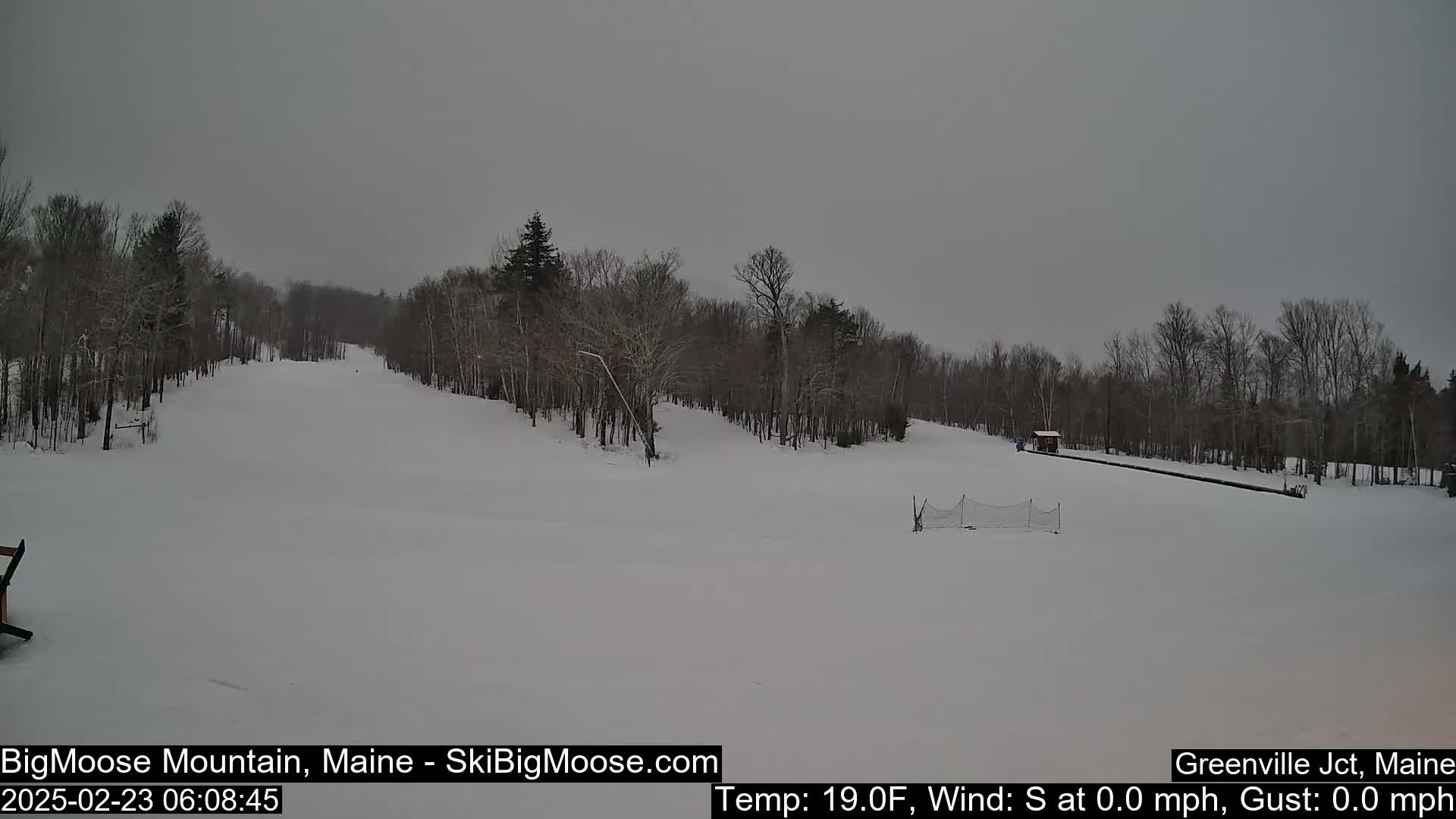 A snow-covered ski slope is visible, with bare trees lining the sides under an overcast sky.