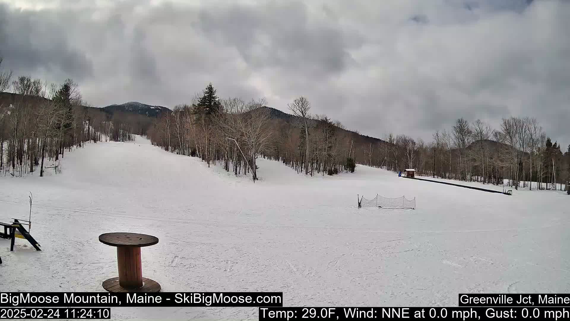 A snow-covered ski slope is visible under an overcast sky, with trees lining the background and a small structure to the right.