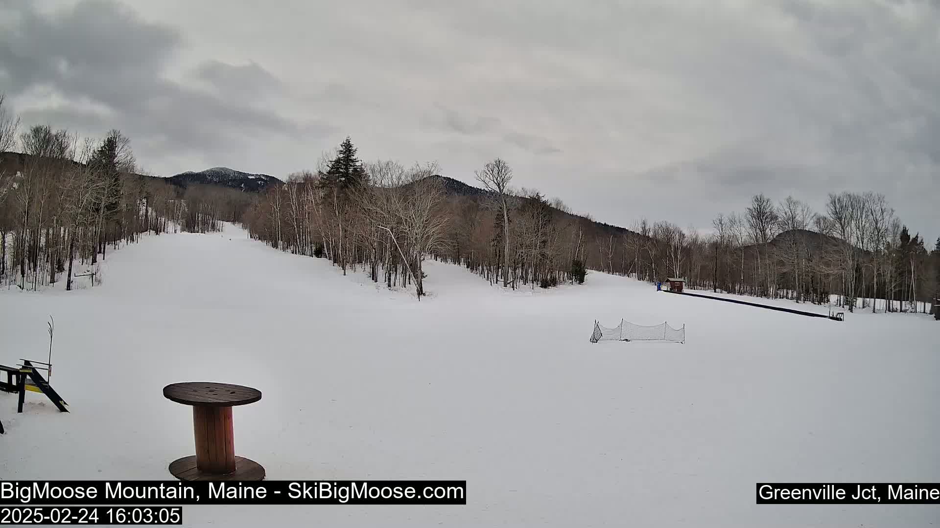 A snow-covered ski slope is seen under an overcast sky, with bare trees lining the hills in the background.