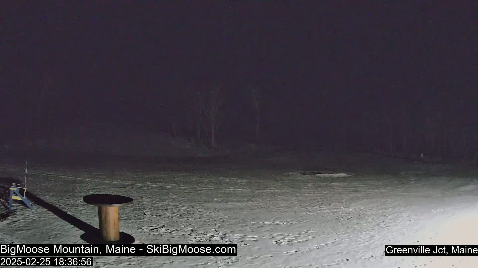 A snow-covered area at night with a short wooden table and a dark background of trees.