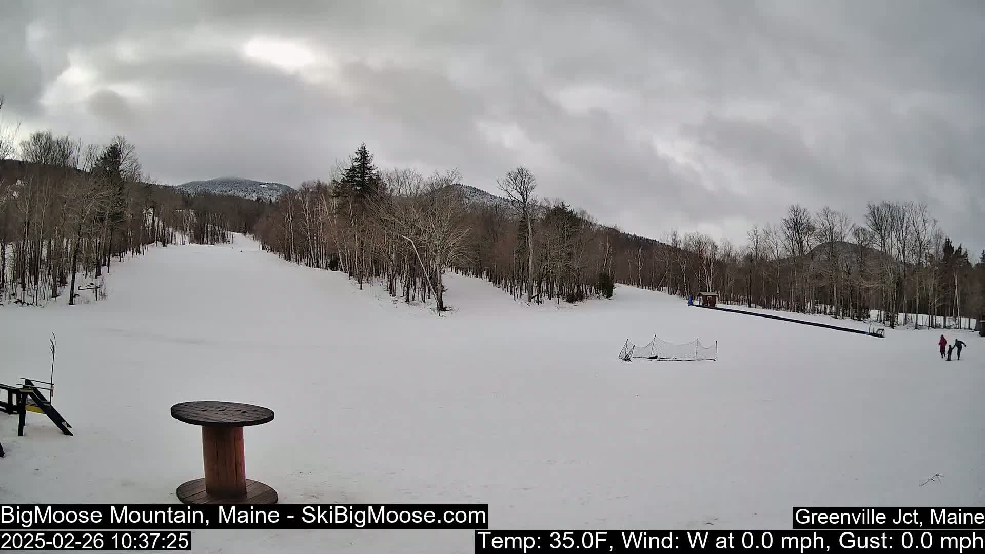 A snow-covered ski slope is visible, under an overcast sky, with bare deciduous trees lining the sides and a distant mountain range in the background.