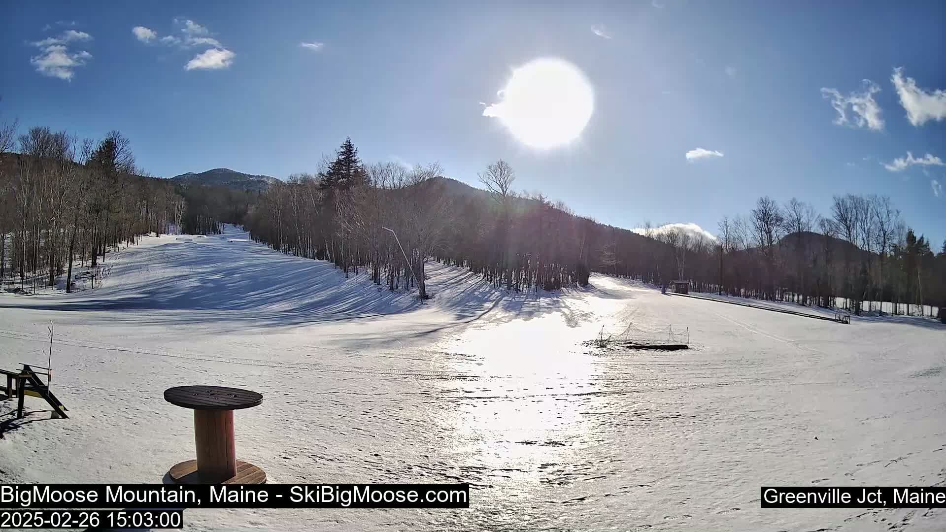 A snow-covered ski slope with leafless trees and mountains in the background under a bright, sunny sky.