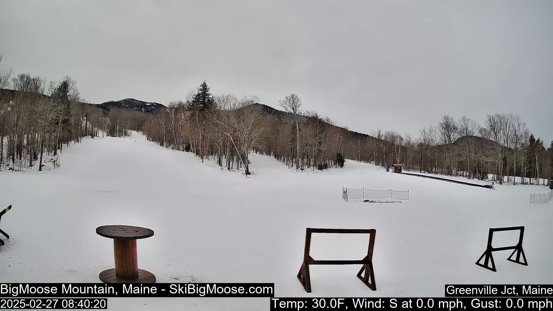 A snow-covered ski slope is seen on an overcast day, with bare deciduous trees lining the hills in the background.
