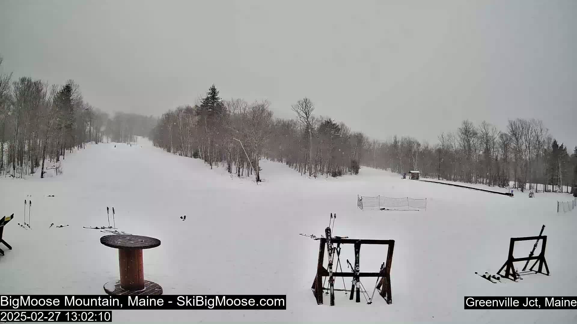 A snow-covered ski slope with leafless trees in the background under a light snowfall.