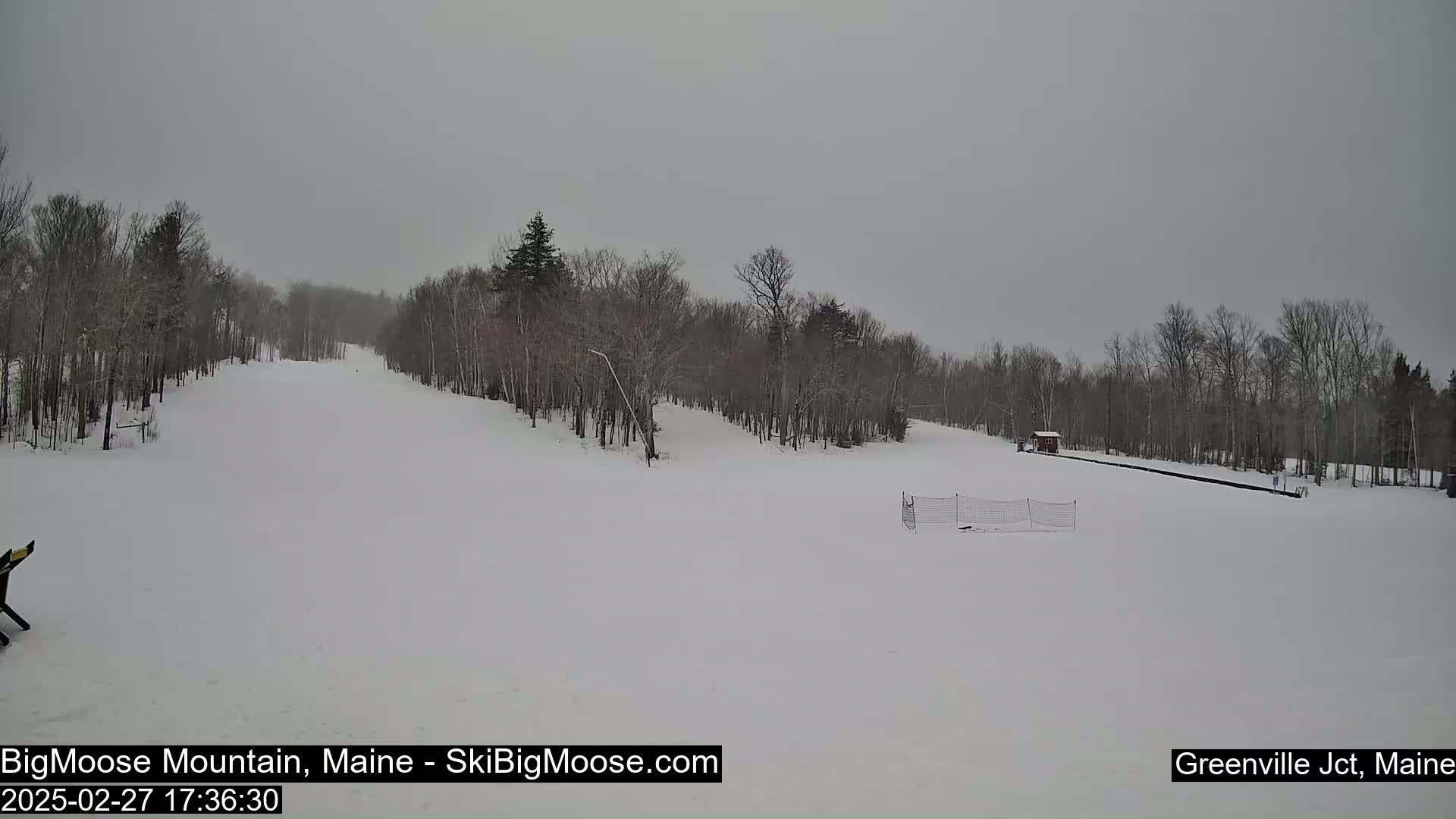 A snow-covered ski slope is visible under an overcast sky, with bare trees lining the sides of the hill and a small building in the distance.