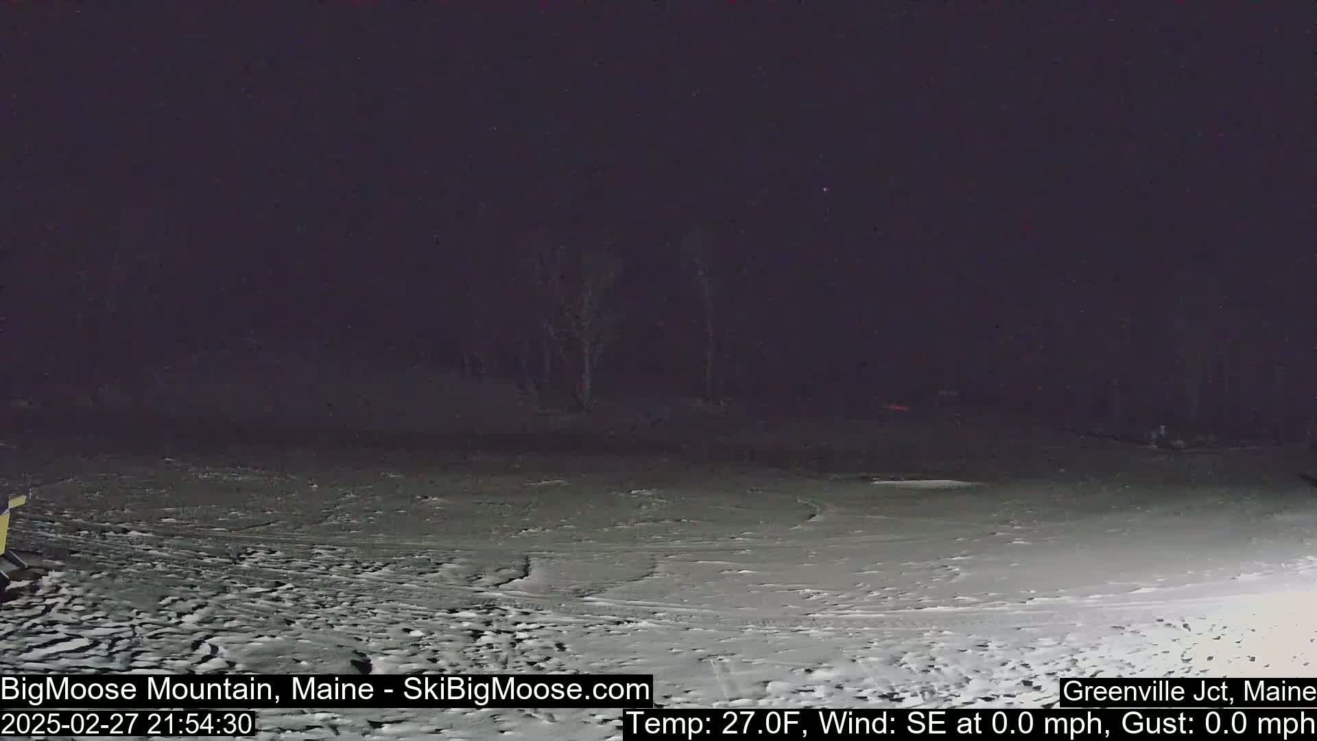 A snow-covered, dark nighttime scene shows a flat expanse of land with some trees in the background under calm conditions.