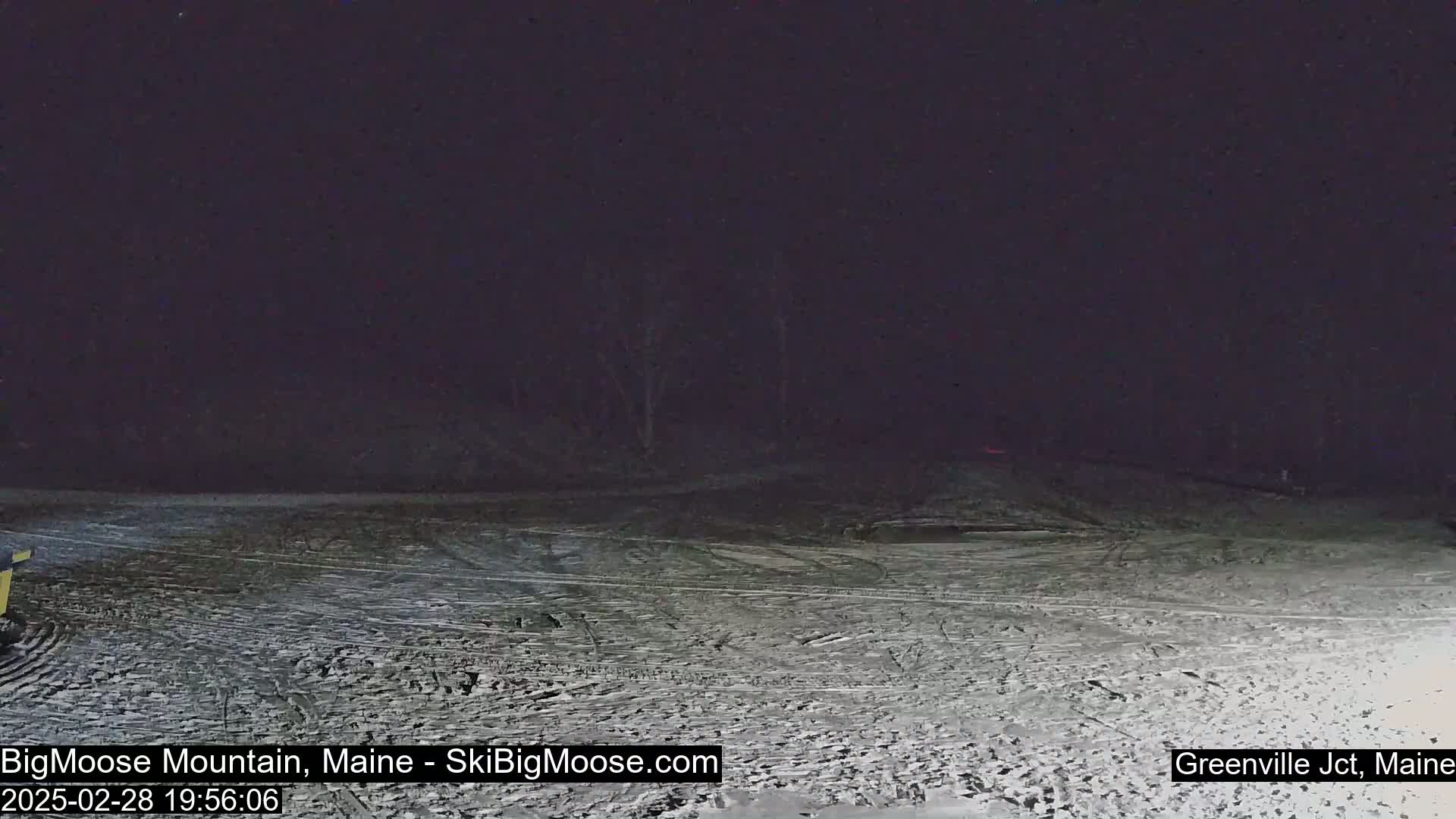 A snow-covered, dark nighttime scene shows a flat expanse with tire tracks and a dark treeline in the background.