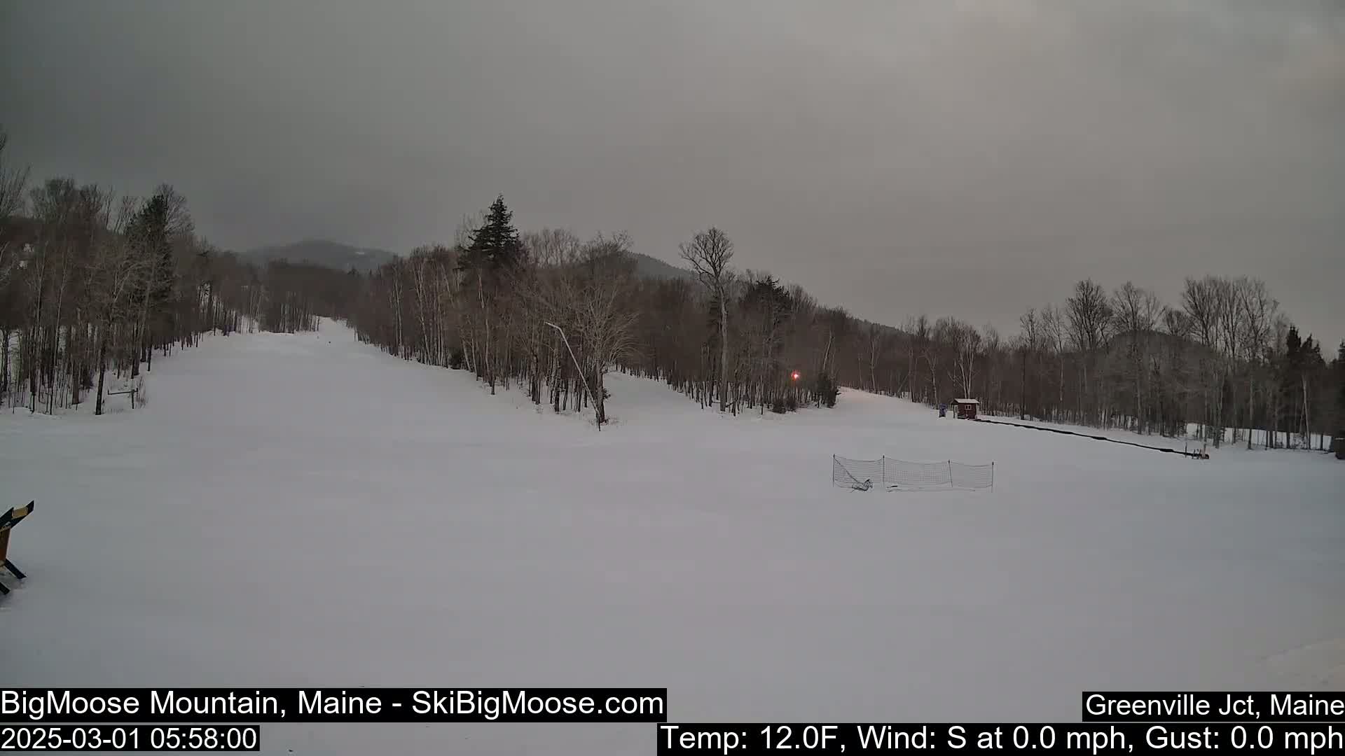 A snow-covered ski slope is visible under an overcast sky, with bare trees lining the hills in the background.