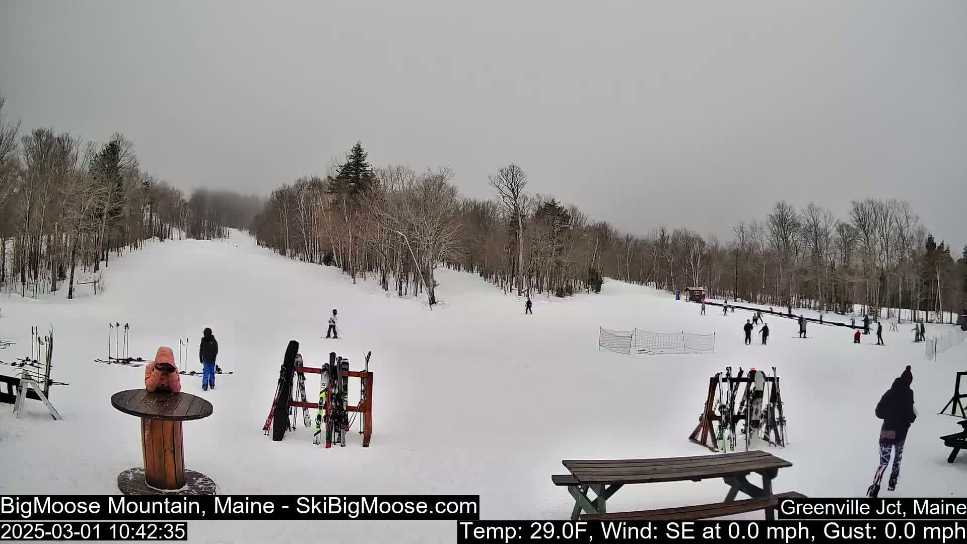 A snow-covered ski slope with several skiers and snowboarders, under an overcast sky.