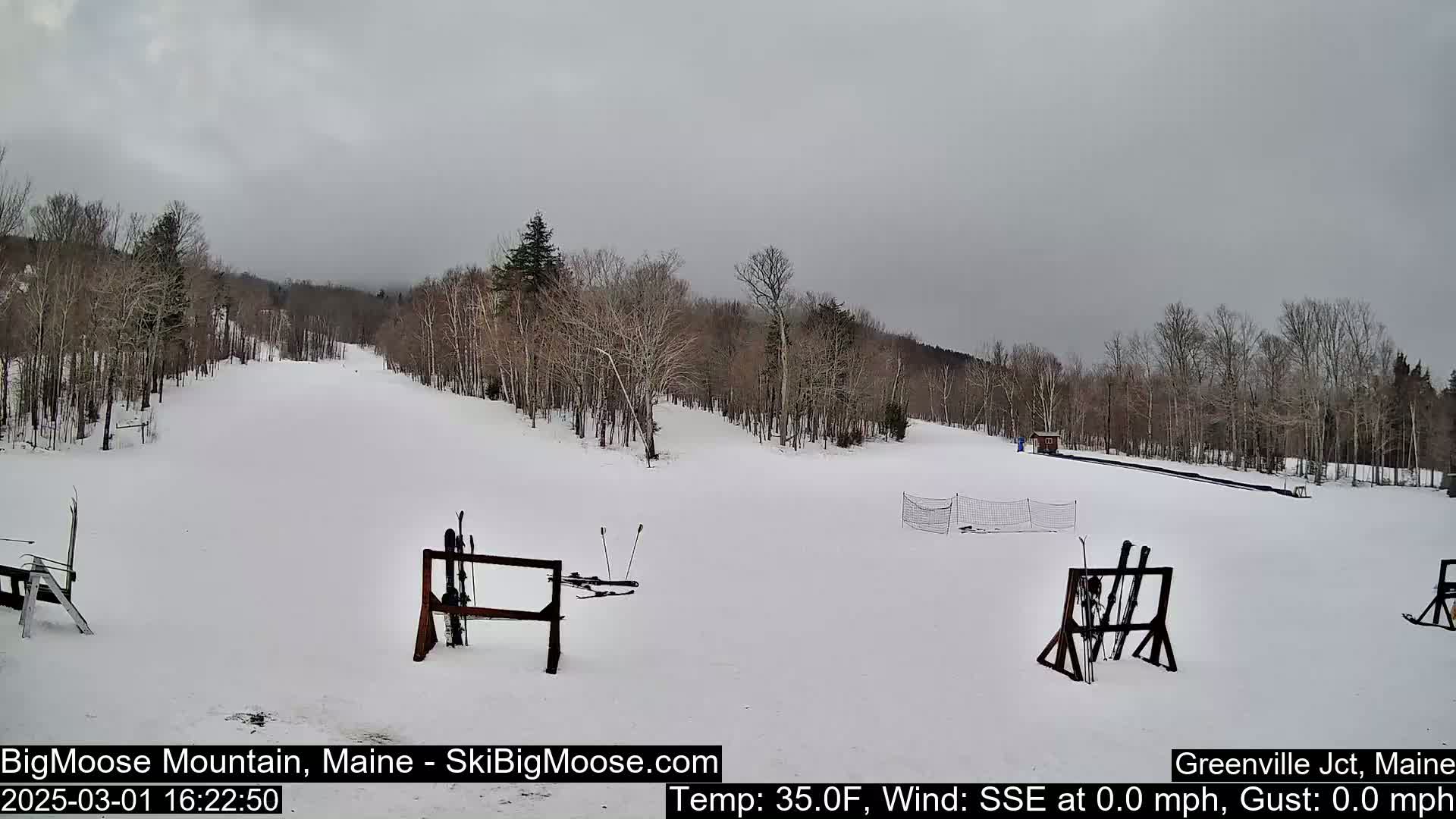 A snow-covered ski slope is visible, surrounded by bare trees under an overcast sky.