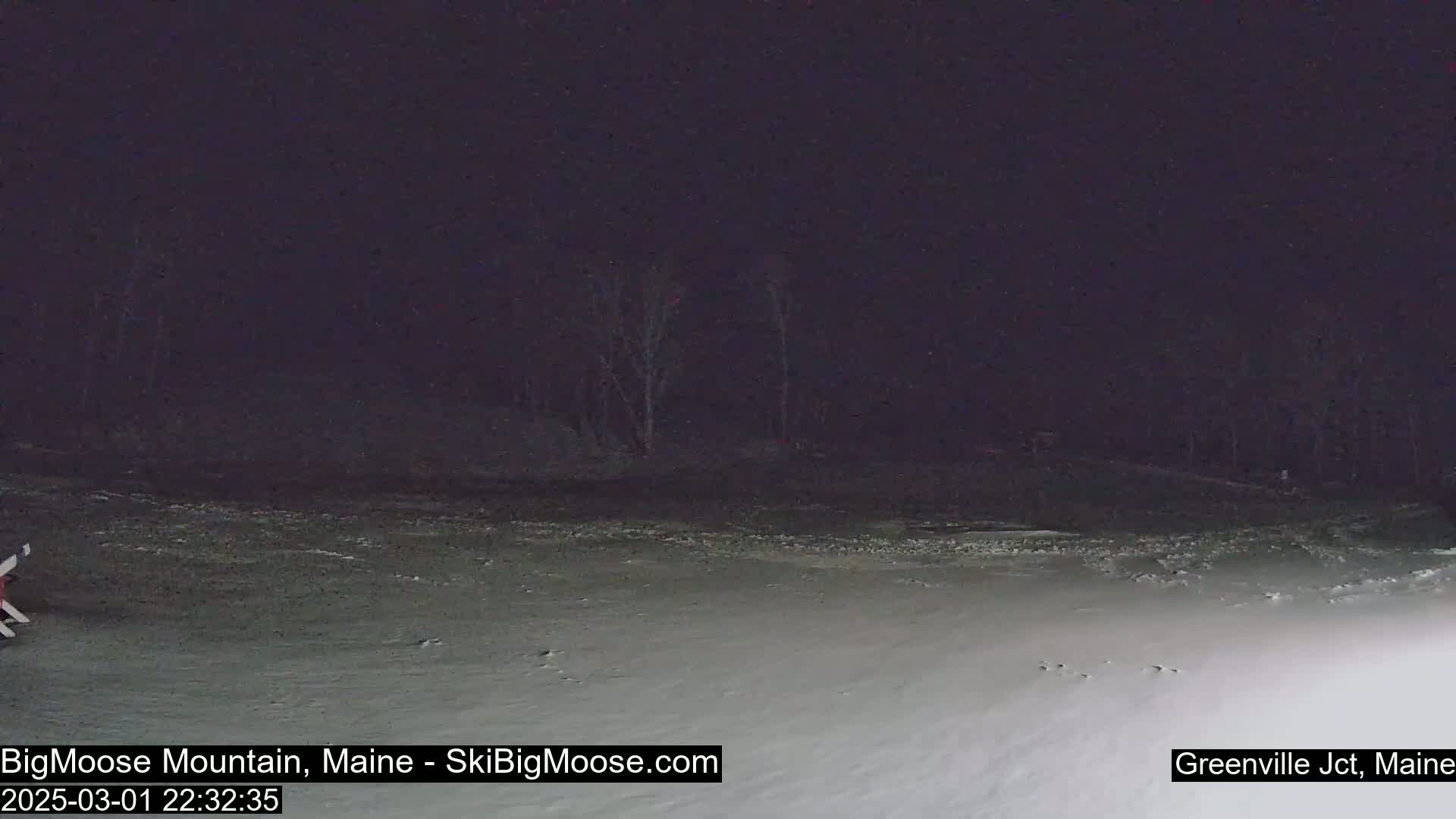 A snow-covered ground stretches out under a dark night sky, with a treeline visible in the distance.
