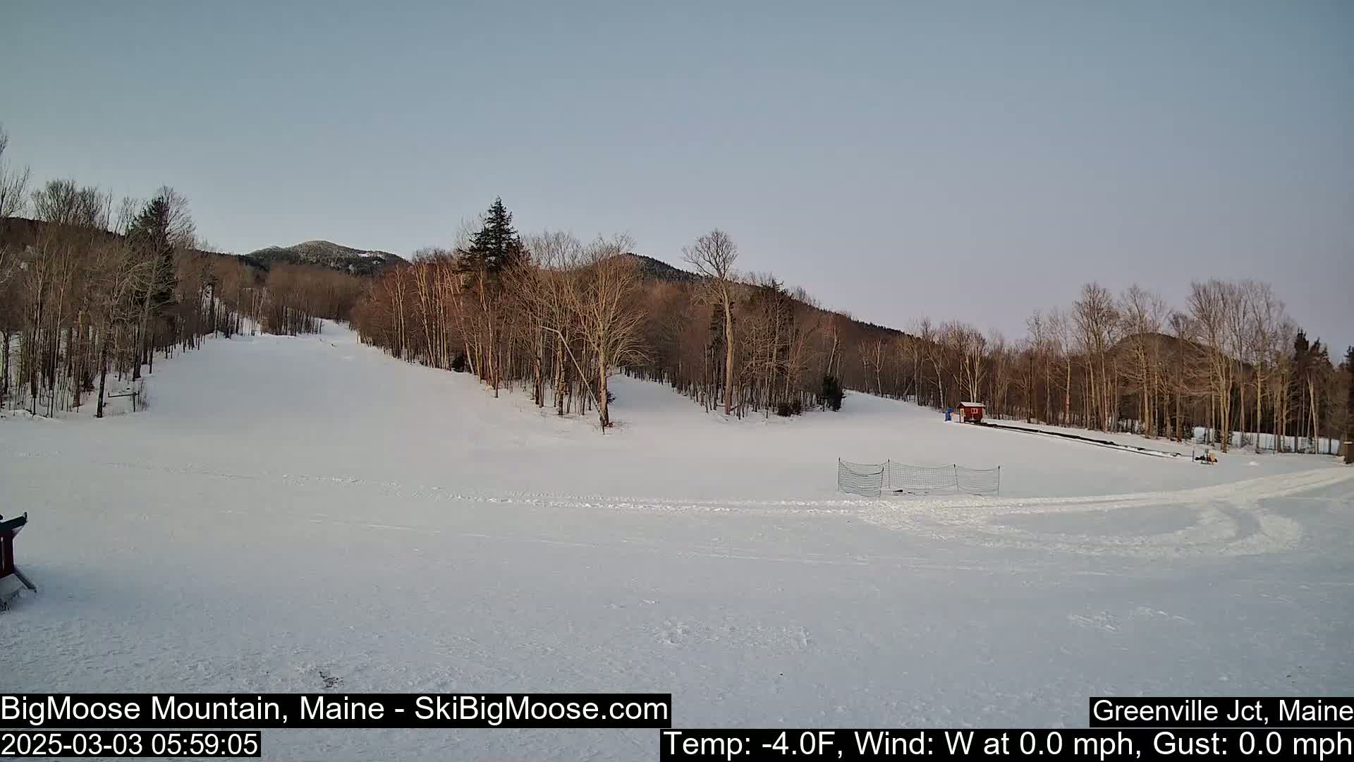 A snow-covered ski slope is bordered by leafless trees under a clear, light-grey sky.