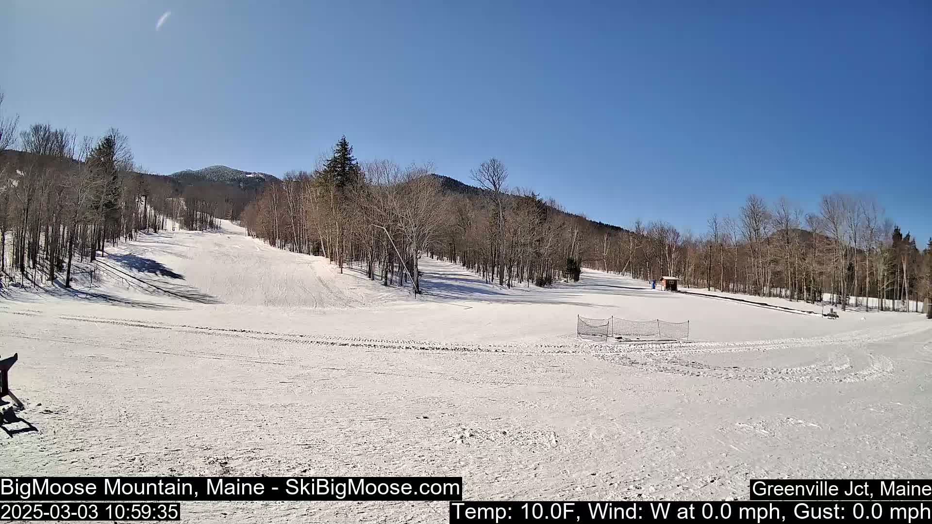 A snow-covered ski slope with bare trees and a clear blue sky is visible on a sunny, calm day.
