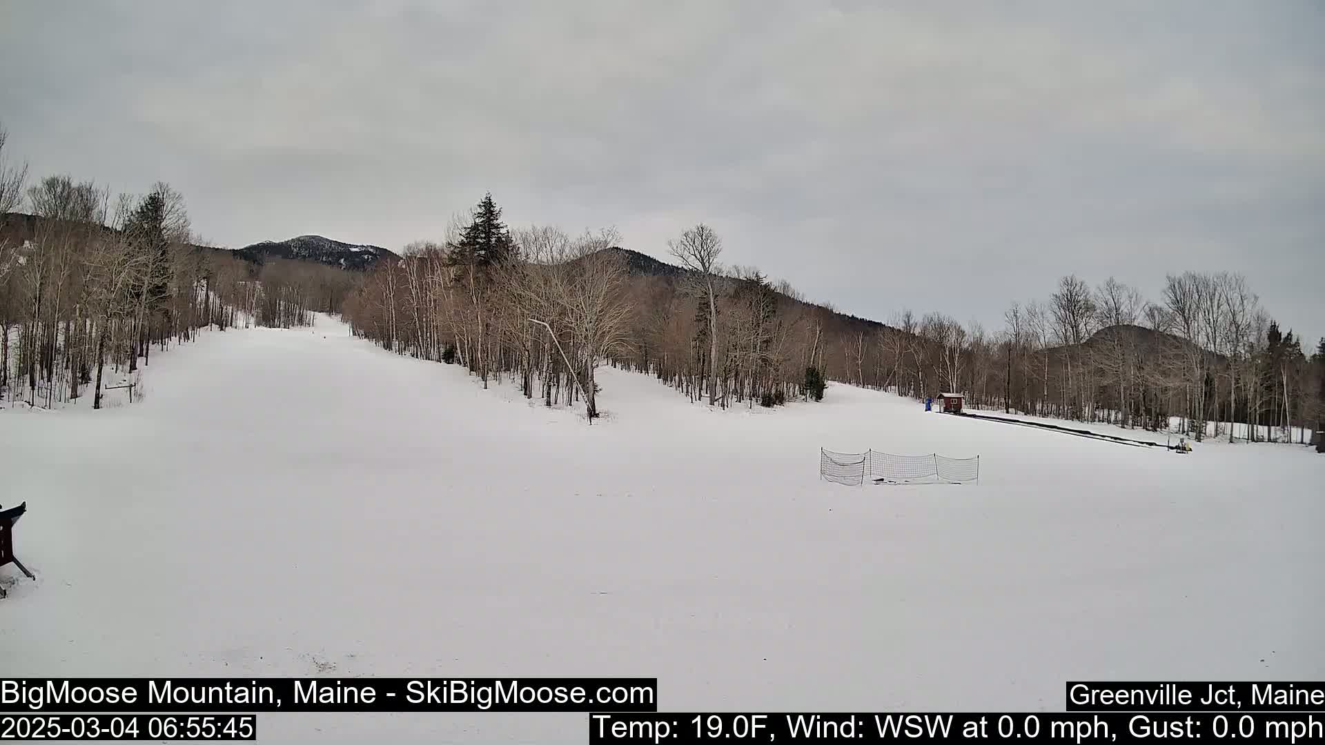 A snow-covered ski slope with bare trees and a distant mountain under an overcast sky.