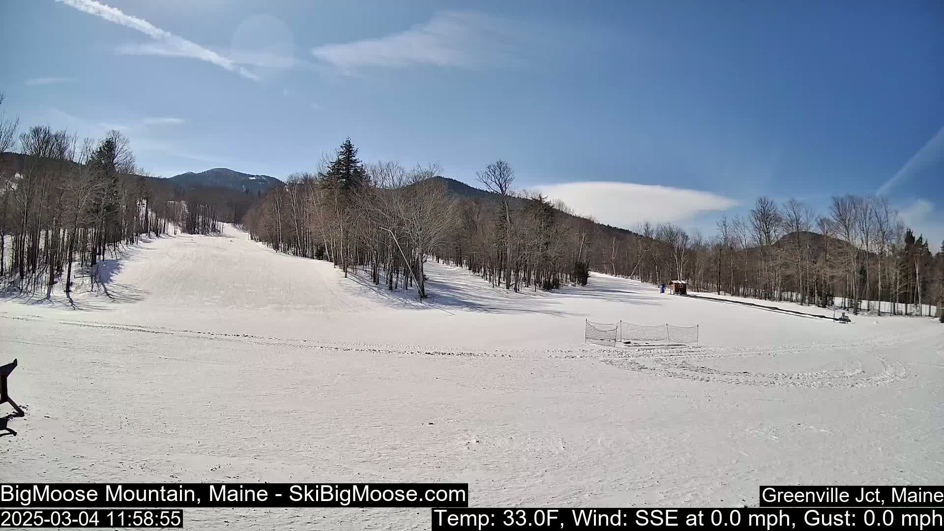 A snow-covered ski slope stretches towards a line of bare trees and mountains under a clear blue sky.