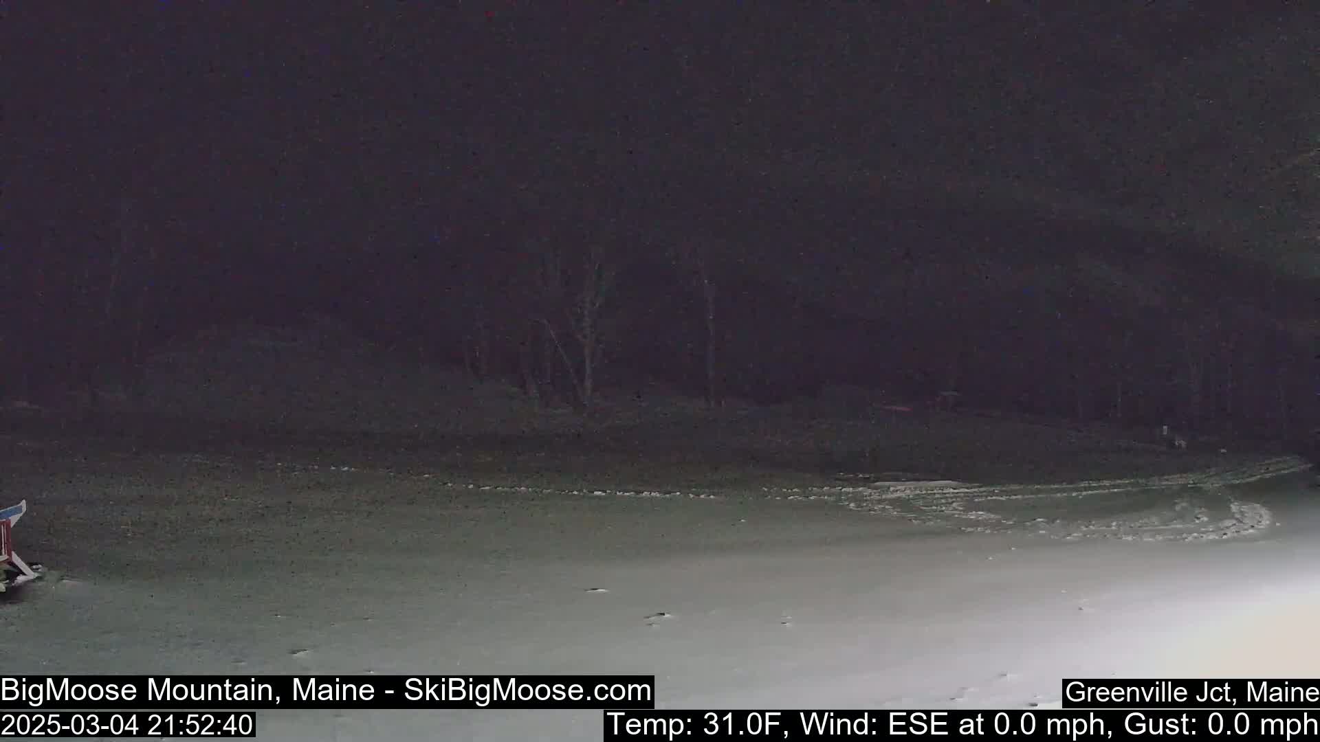 A dark, snowy, nighttime scene shows a flat, snow-covered area with a few sparsely distributed trees and tire tracks visible in the distance.