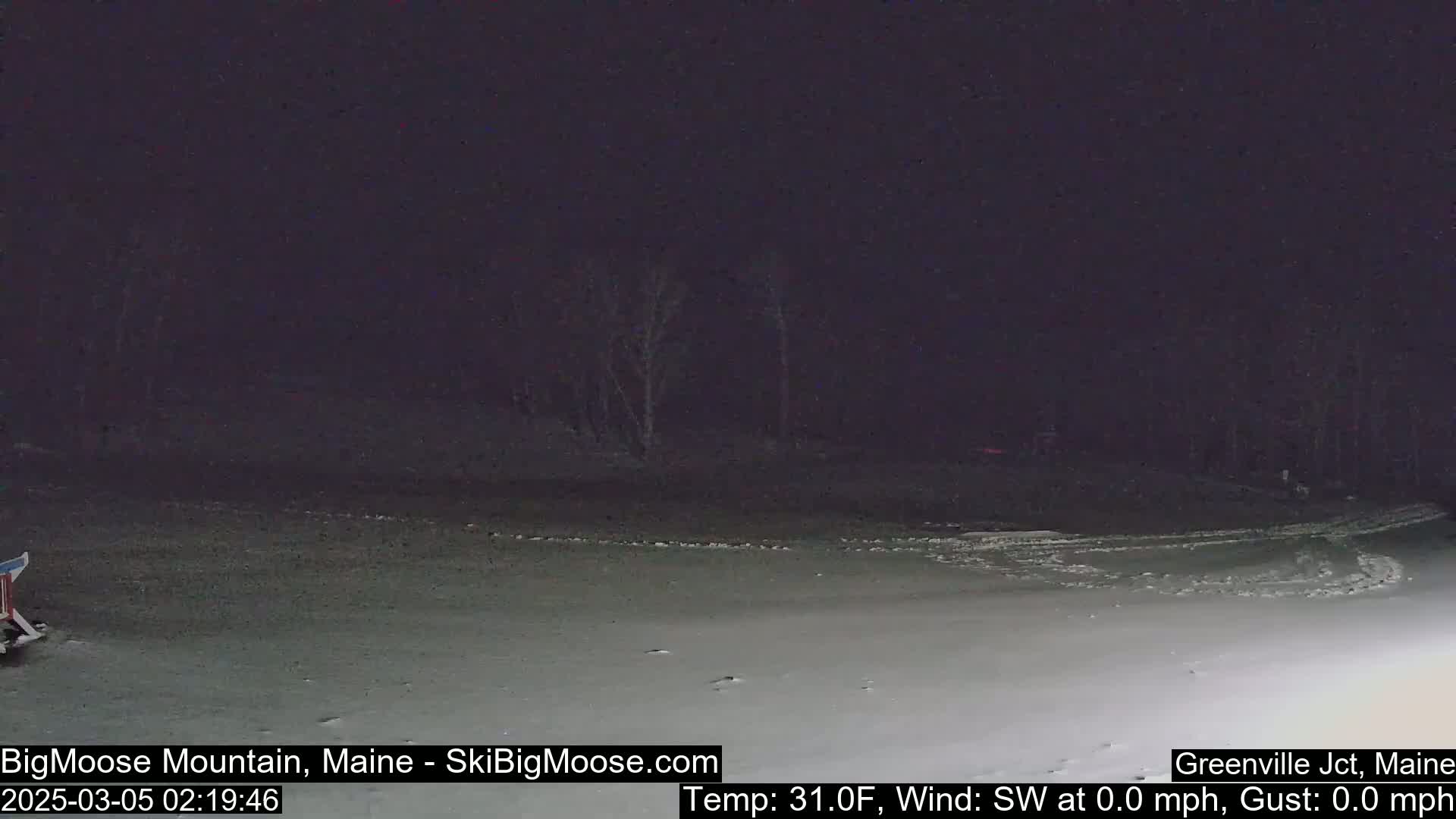 A snow-covered, dark area with a few trees in the background at night, under calm, cold conditions.