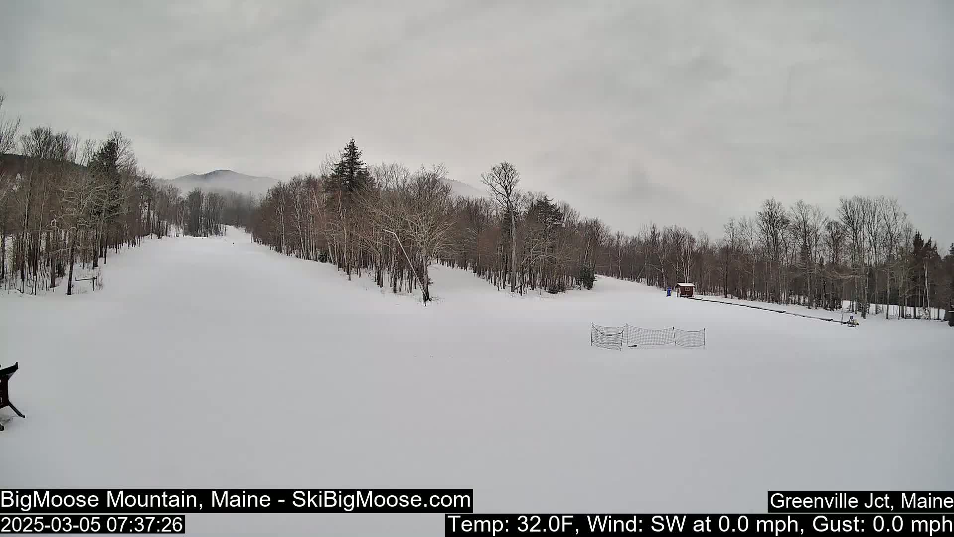A snow-covered ski slope is seen on an overcast day, with bare trees lining the sides and a distant, fog-shrouded mountain in the background.