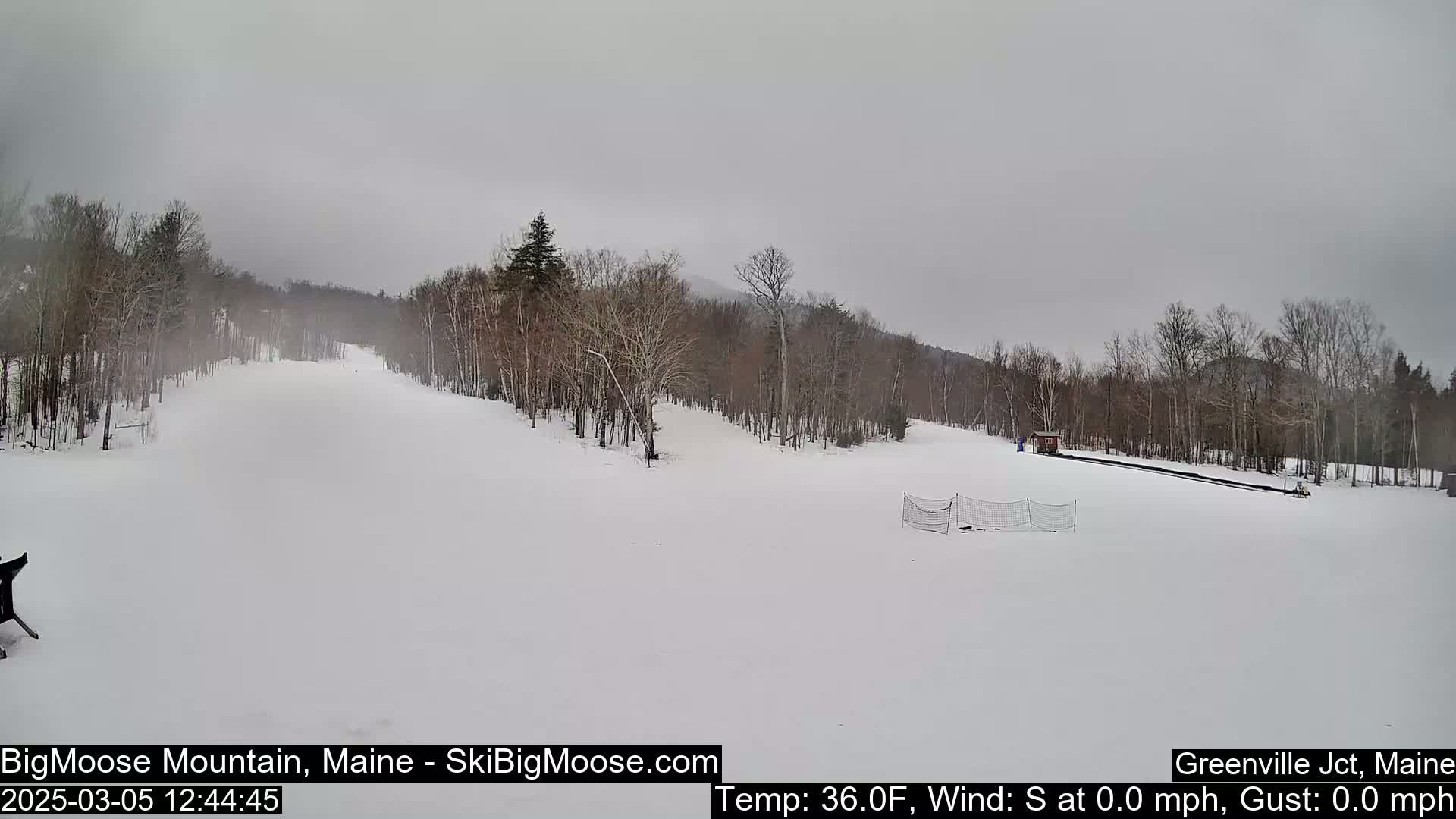 A snow-covered ski slope is visible, with bare trees lining the edges under an overcast sky.