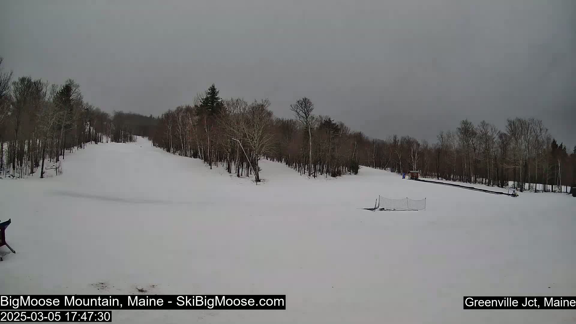 A snow-covered ski slope is surrounded by bare deciduous trees under an overcast sky.