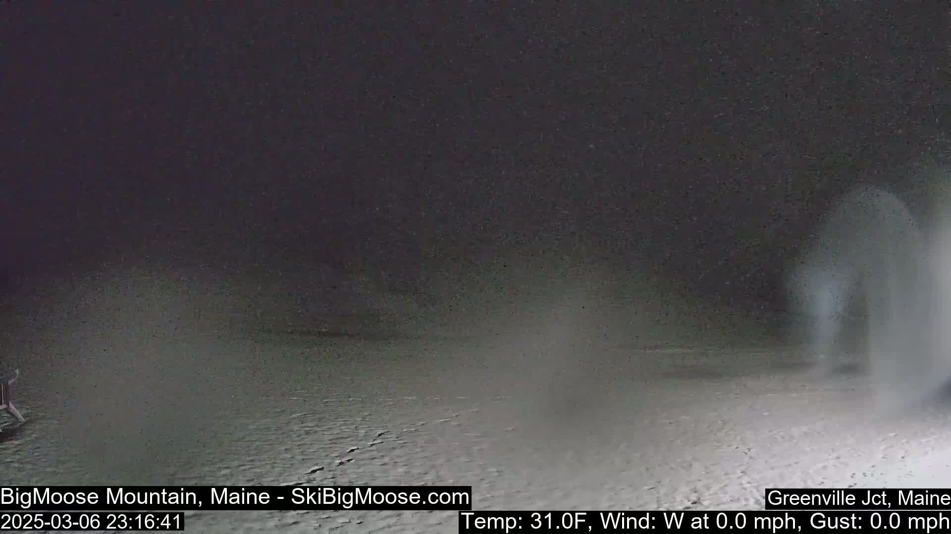 A nighttime view of a snow-covered area with a temperature of 31 degrees Fahrenheit and no wind.