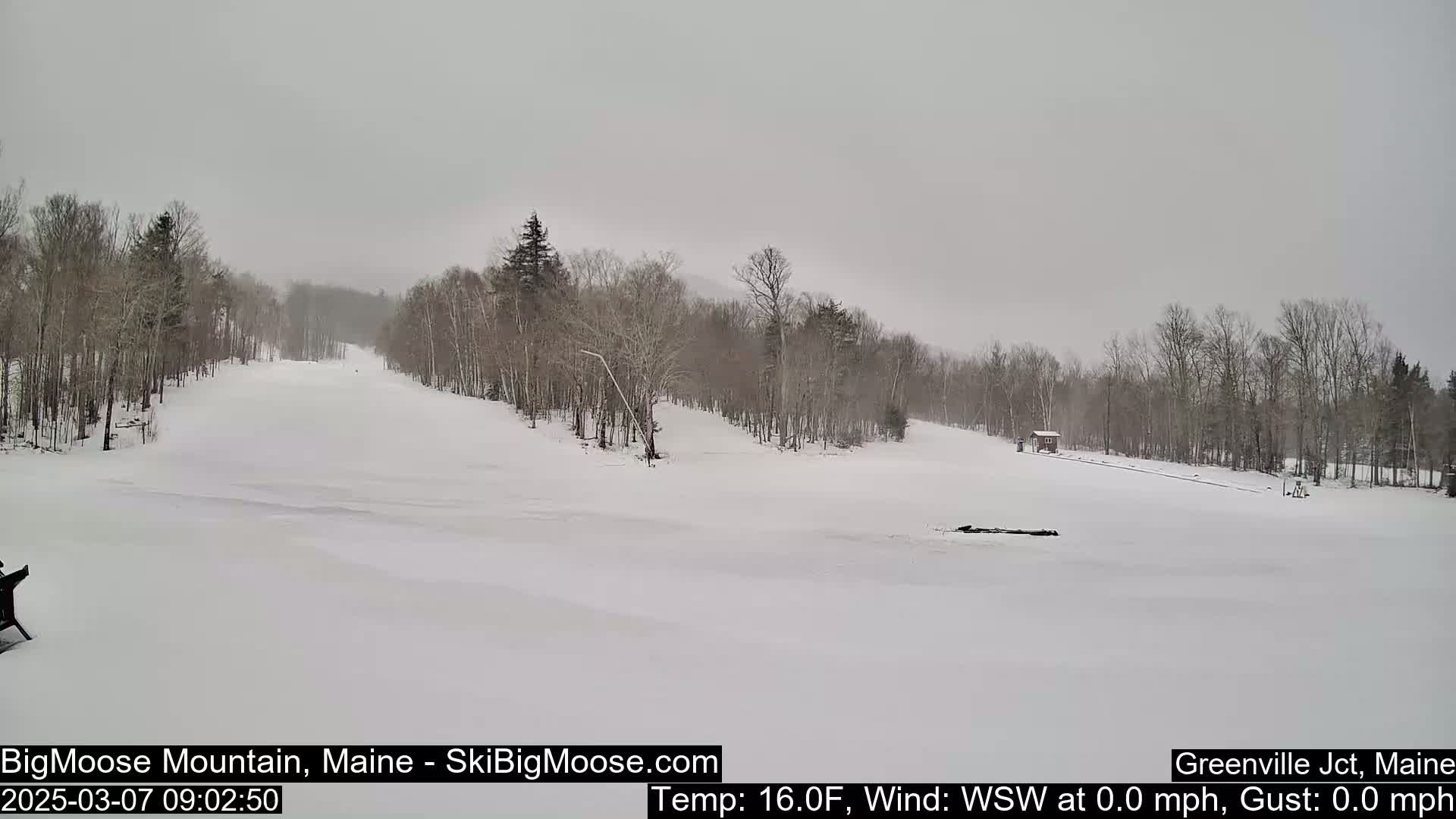 A snow-covered ski slope is visible, with bare trees lining the sides under an overcast sky.