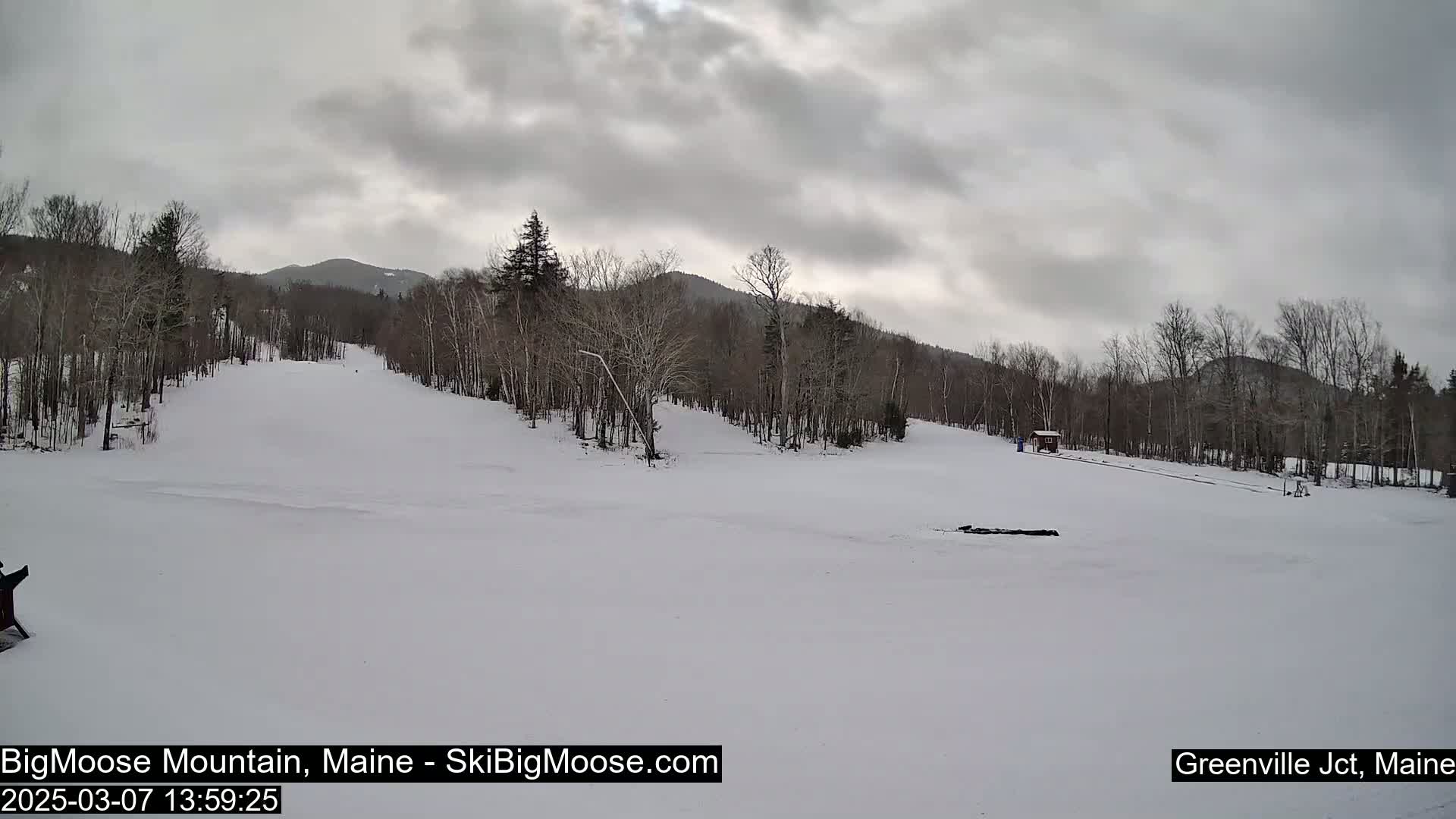 A snow-covered ski slope stretches out before a line of bare trees and a distant mountain under a cloudy sky.