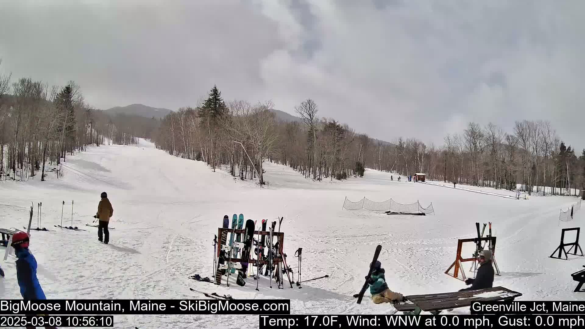 A snow-covered ski slope with several skiers and snowboarders, surrounded by bare trees under an overcast sky.