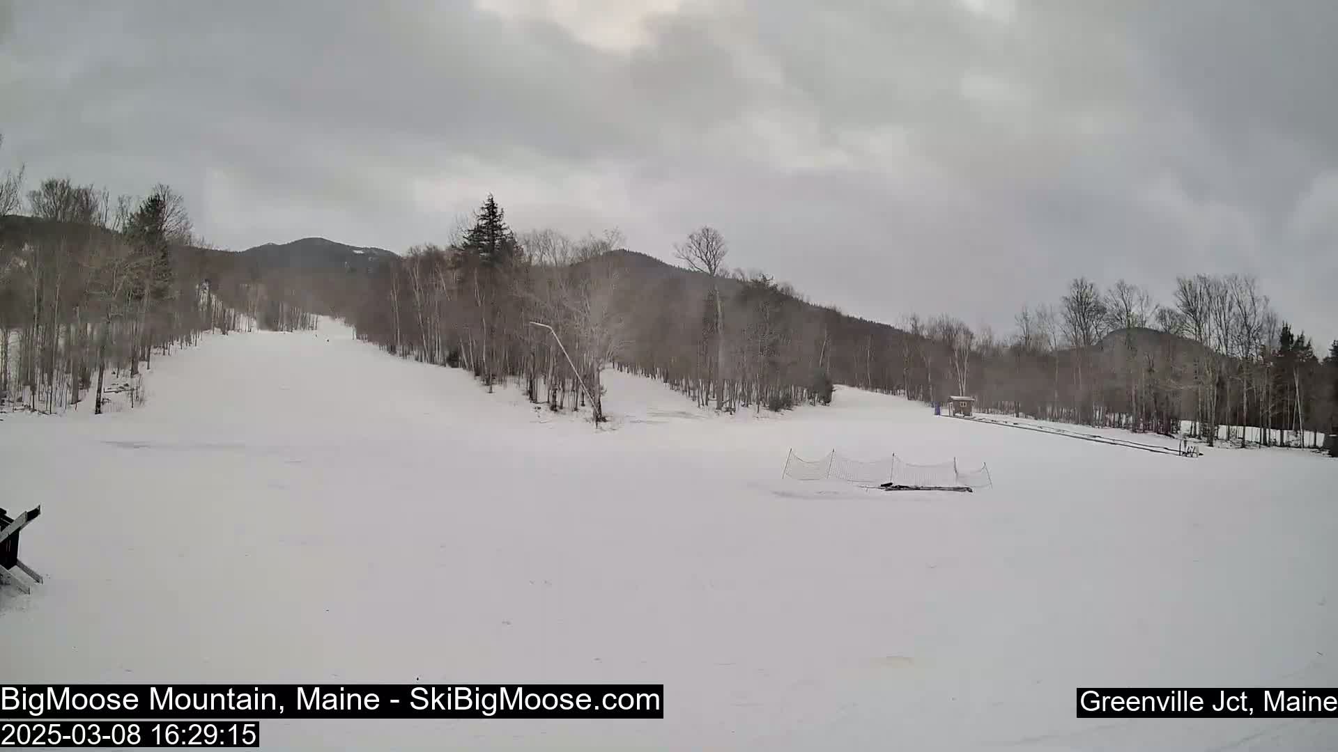 A snow-covered ski slope is visible, with leafless trees lining the hills in the background under an overcast sky.