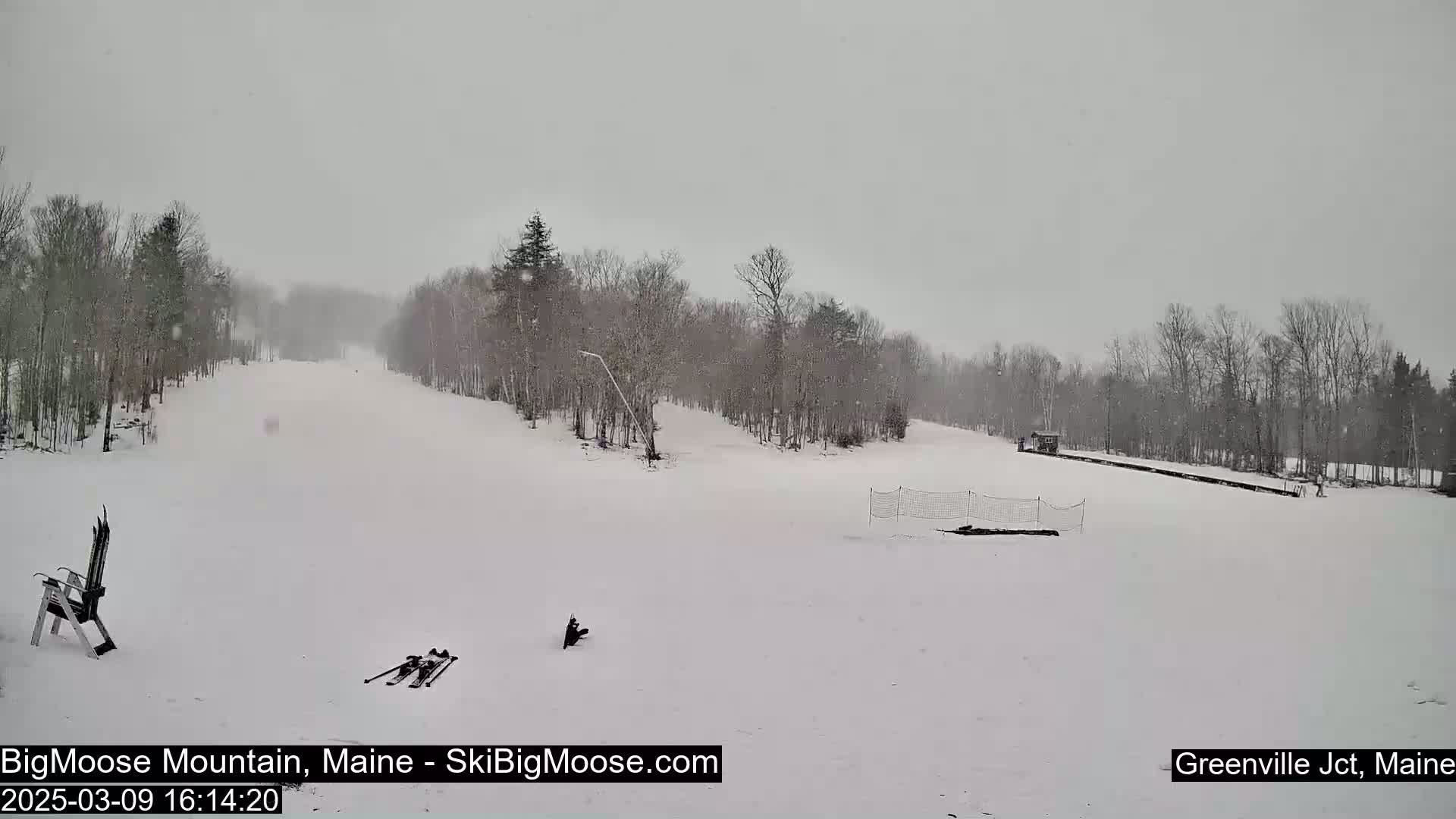 A snow-covered ski slope is visible, with bare trees lining the sides, under a lightly snowing overcast sky.
