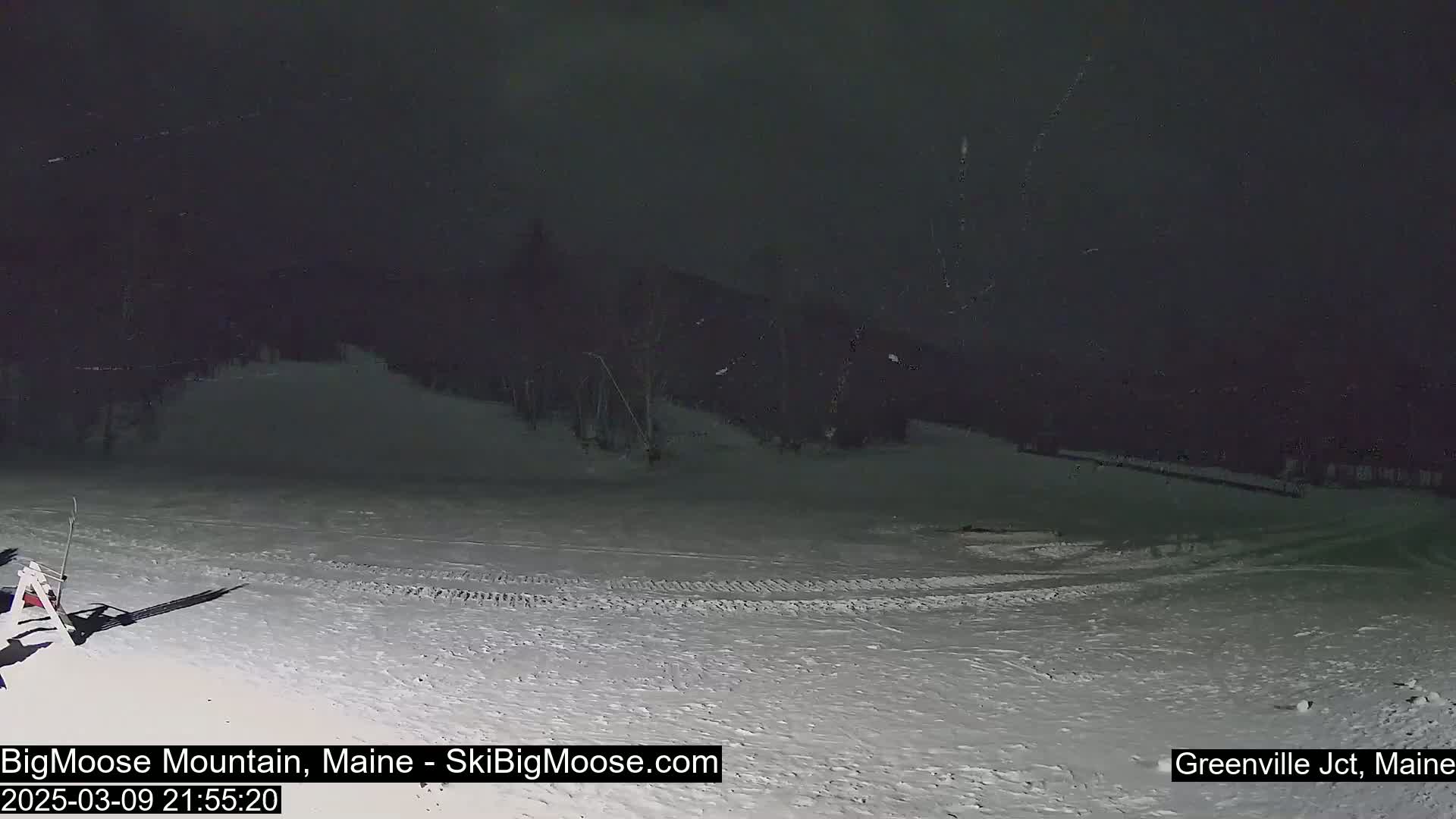 A snow-covered slope at night with a dark, possibly snowy sky and trees in the background.