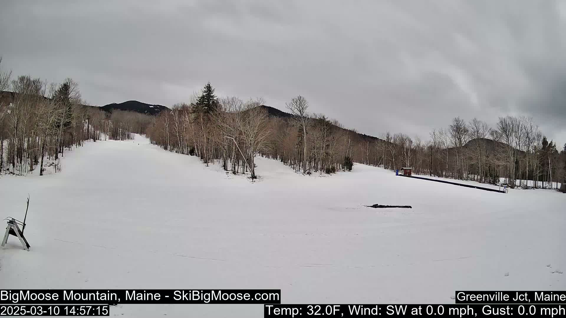 A snow-covered ski slope is nestled among bare trees under a gray, overcast sky.