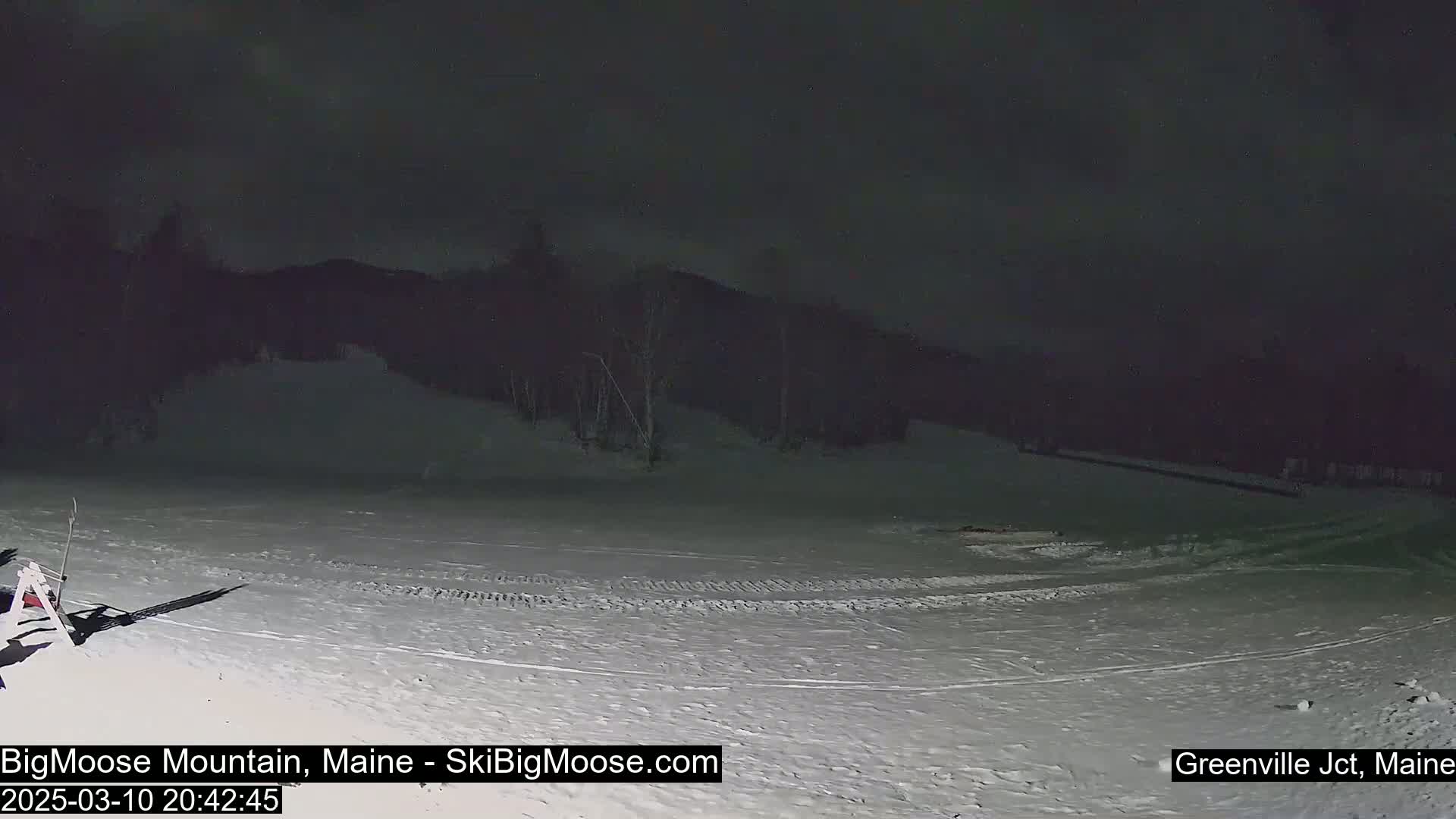 A snow-covered slope at night, under a dark sky, is illuminated by artificial light.