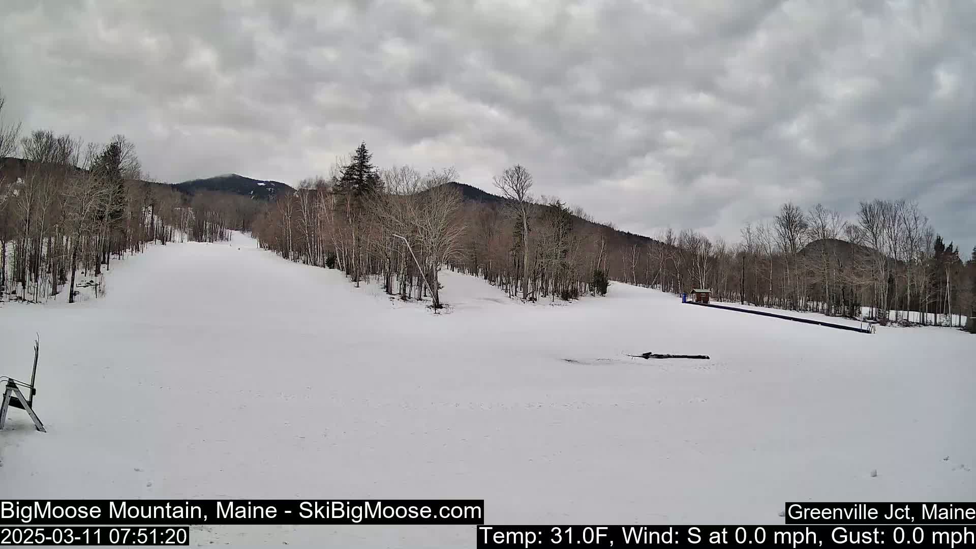 A snow-covered ski slope with leafless trees and a mountain in the background under an overcast sky.