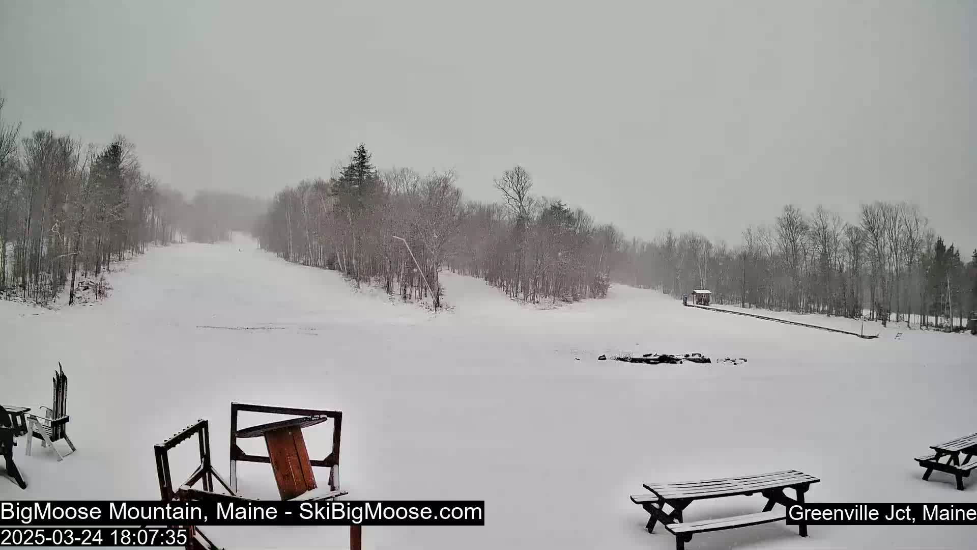 A snow-covered ski slope is visible, with snow falling lightly, surrounded by leafless trees.