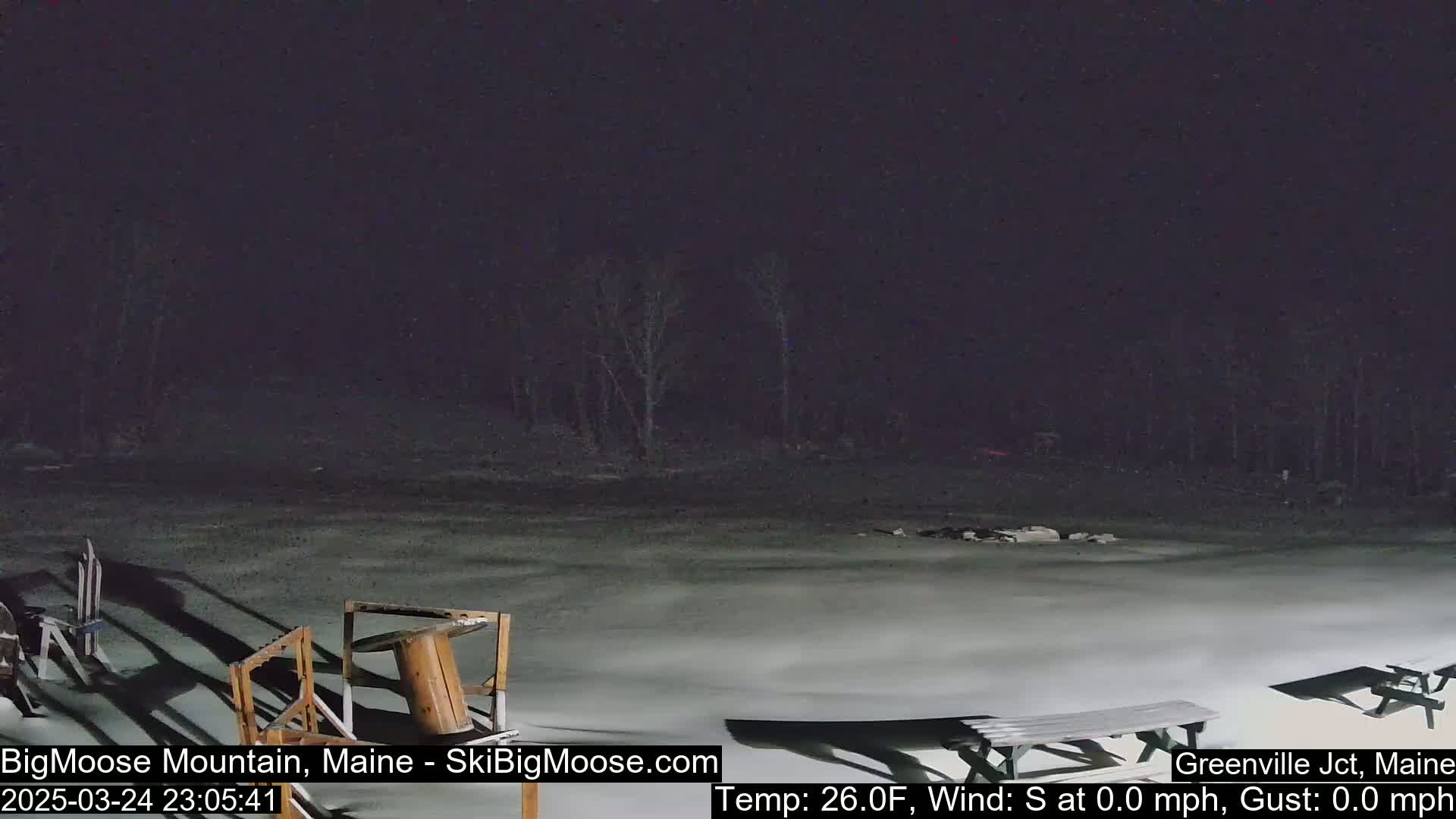 A snow-covered, flat area at night, with bare trees in the background under a dark sky.