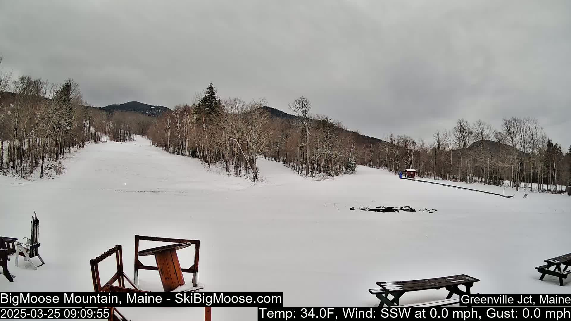 A snow-covered ski slope stretches towards a line of bare, snow-dusted trees under a gray, overcast sky.