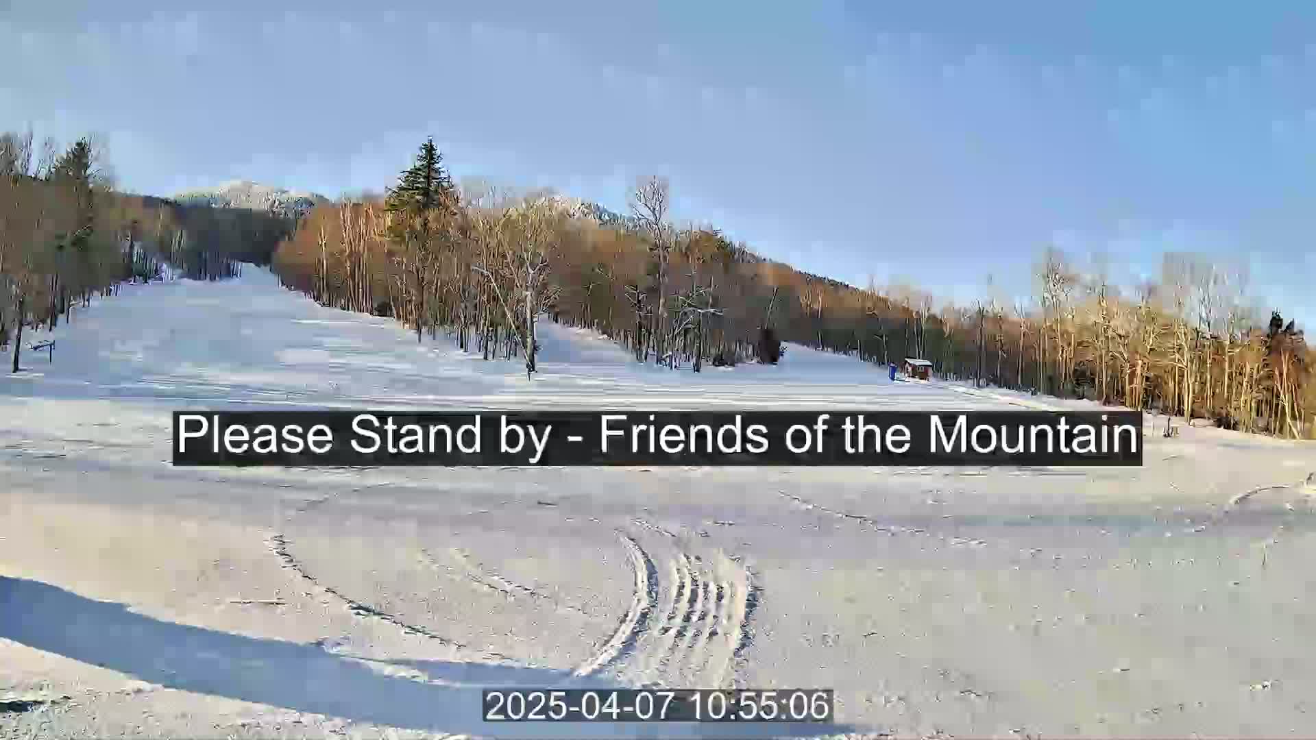 A snow-covered ski slope with leafless trees and a mountain in the background under a sunny sky.