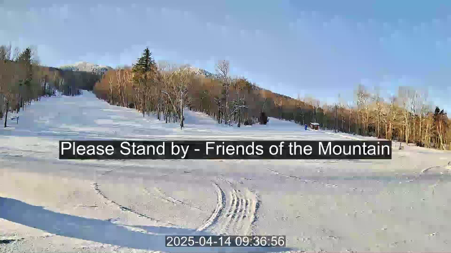 A snow-covered ski slope and surrounding winter woods are visible under a clear blue sky.