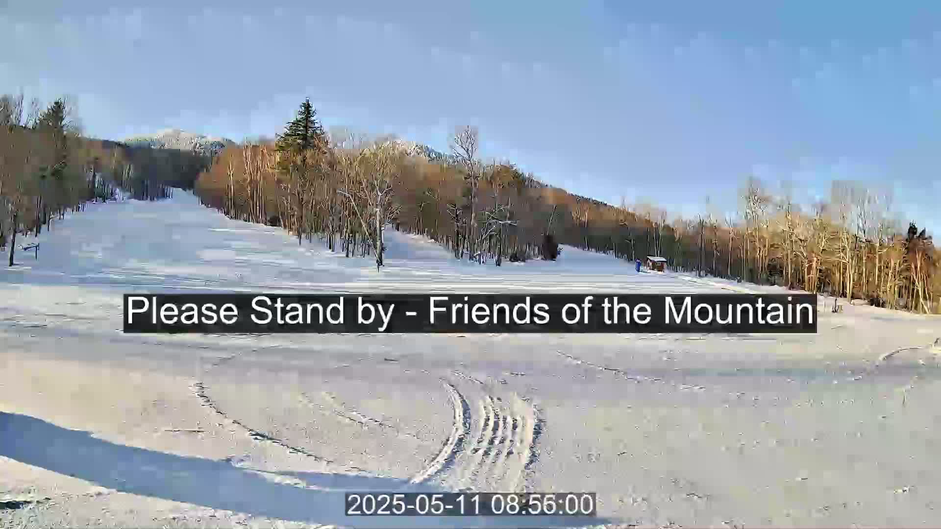 A snow-covered ski slope with leafless trees and mountains in the background under a sunny sky.